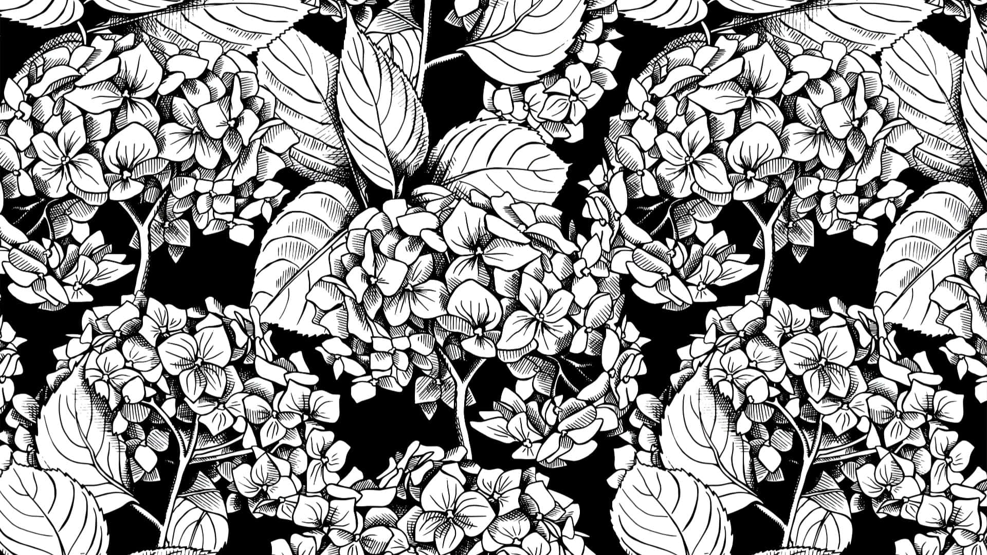  壁紙 — 一幅黑白複雜線條繪畫，描繪繡球花和葉子，形成密集重複圖案。