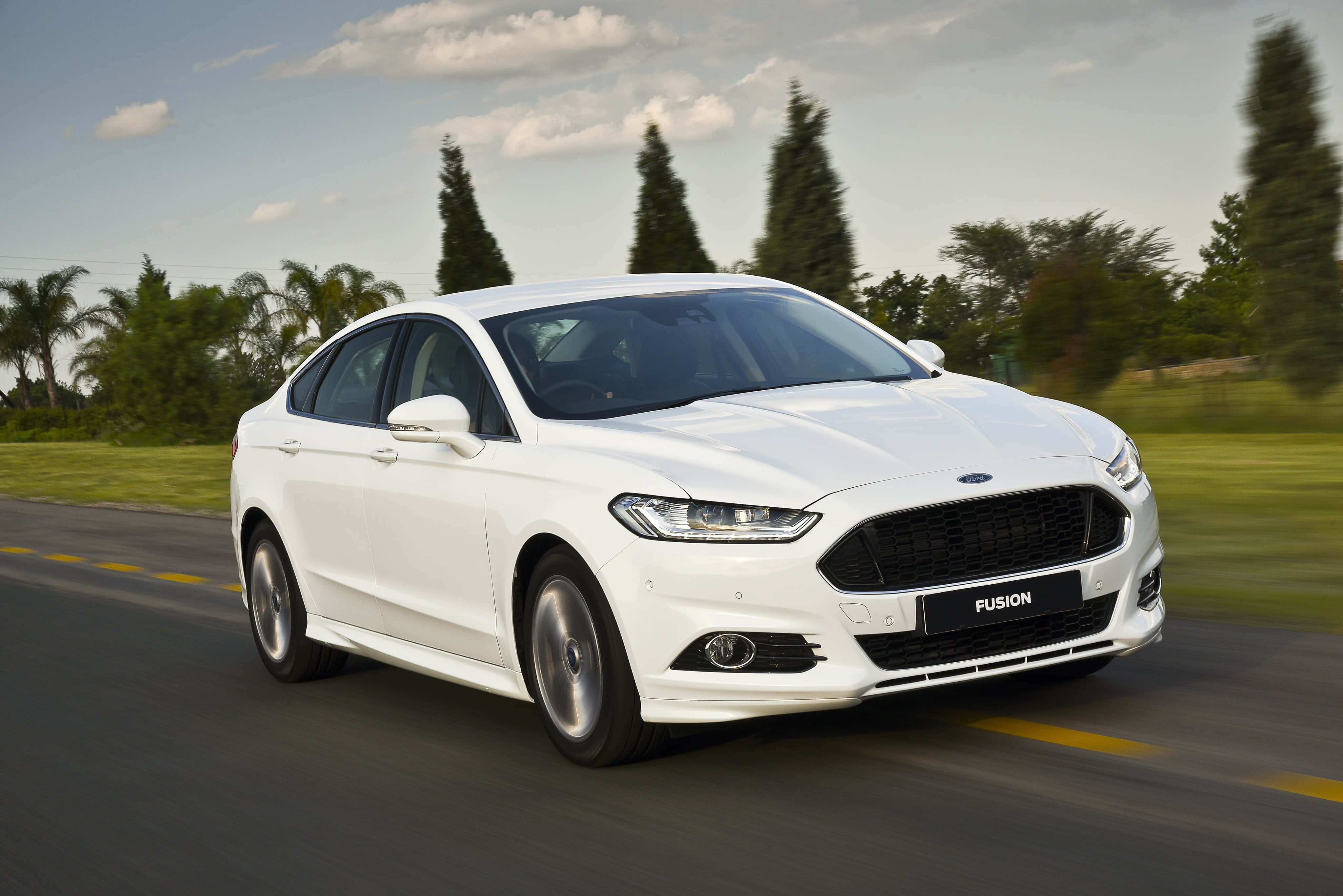 Ford Fusion 桌布 壁紙 — 一架流線型白色福特Fusion房車在陽光普照的道路上行駛，背景有模糊的綠化和高大的樹木。