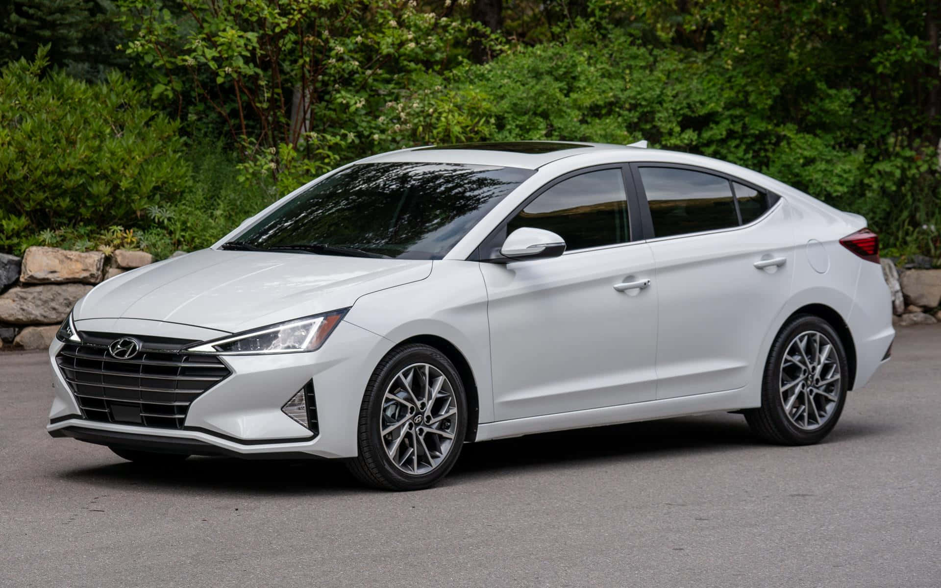 Hyundai Elantra 桌布 壁紙 — 一架時尚的白色現代Elantra房車停在瀝青路上，背景有茂密的綠色樹葉和石牆。