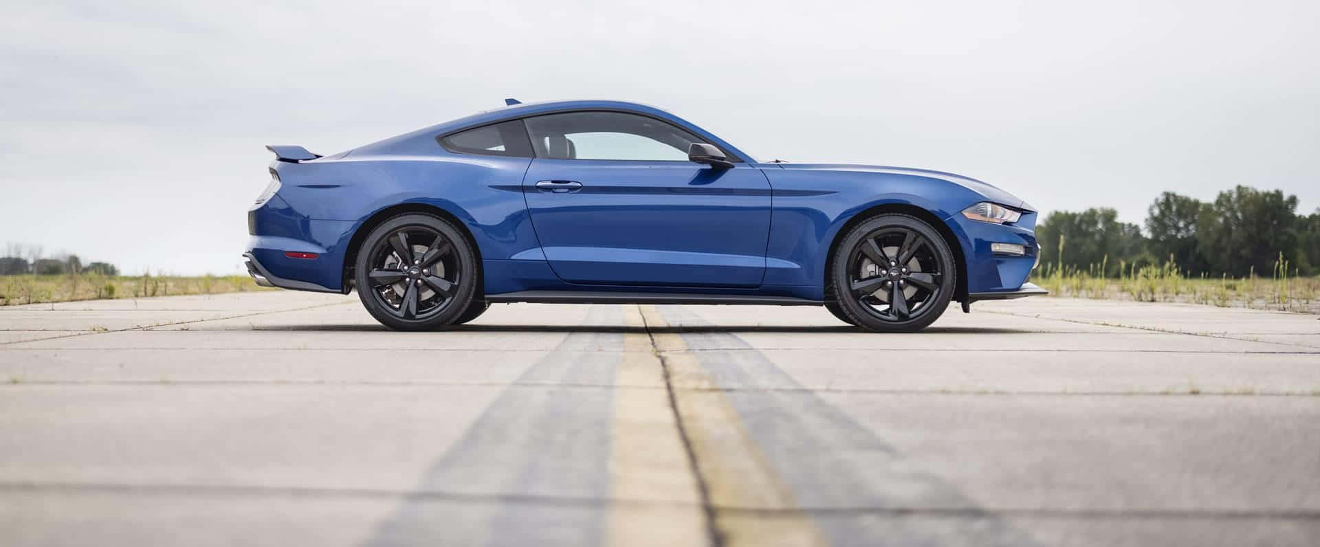 Ford Mustang California Special 桌布 壁紙 — 一架時尚的藍色福特野馬轎跑車停在鋪砌的道路上，背景有樹木，天空多雲。