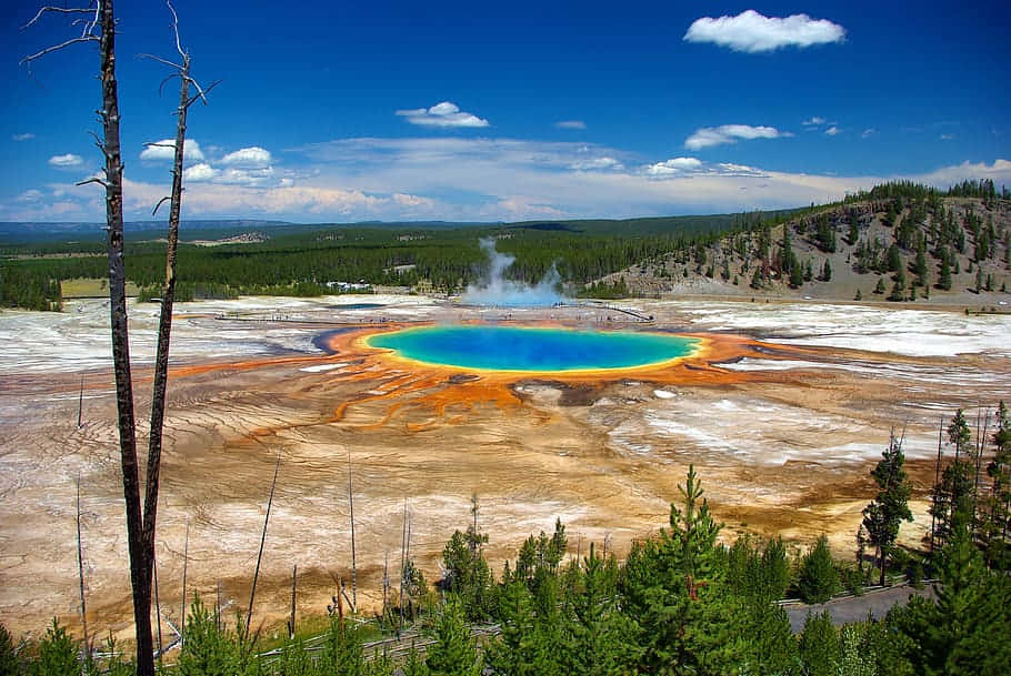  壁紙 — 一個充滿活力的藍綠色溫泉，被橙色礦物沉積物和常綠森林環繞，在明亮的藍天下。