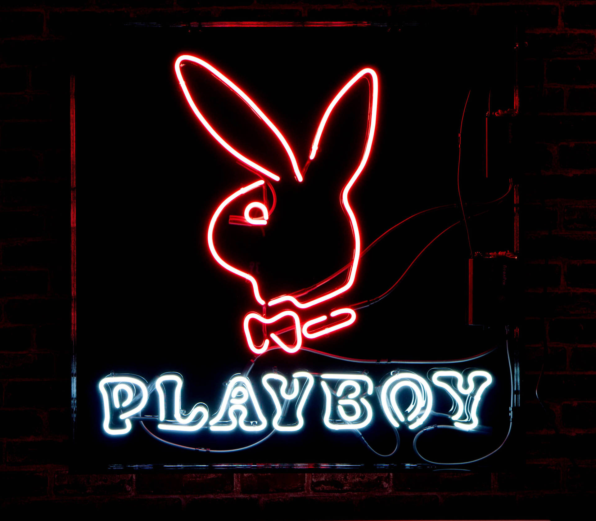 夜間在磚牆上發光的Playboy兔子霓虹燈牌。