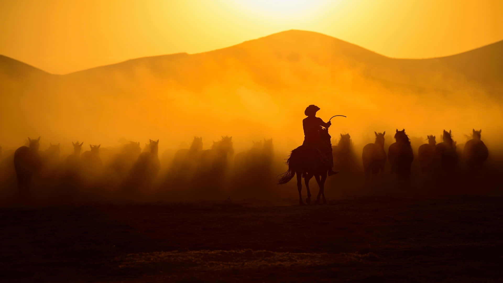  壁紙 — 一個孤獨的牛仔騎著馬，在金色夕陽下，趕著一群馬匹穿過塵土飛揚的平原。