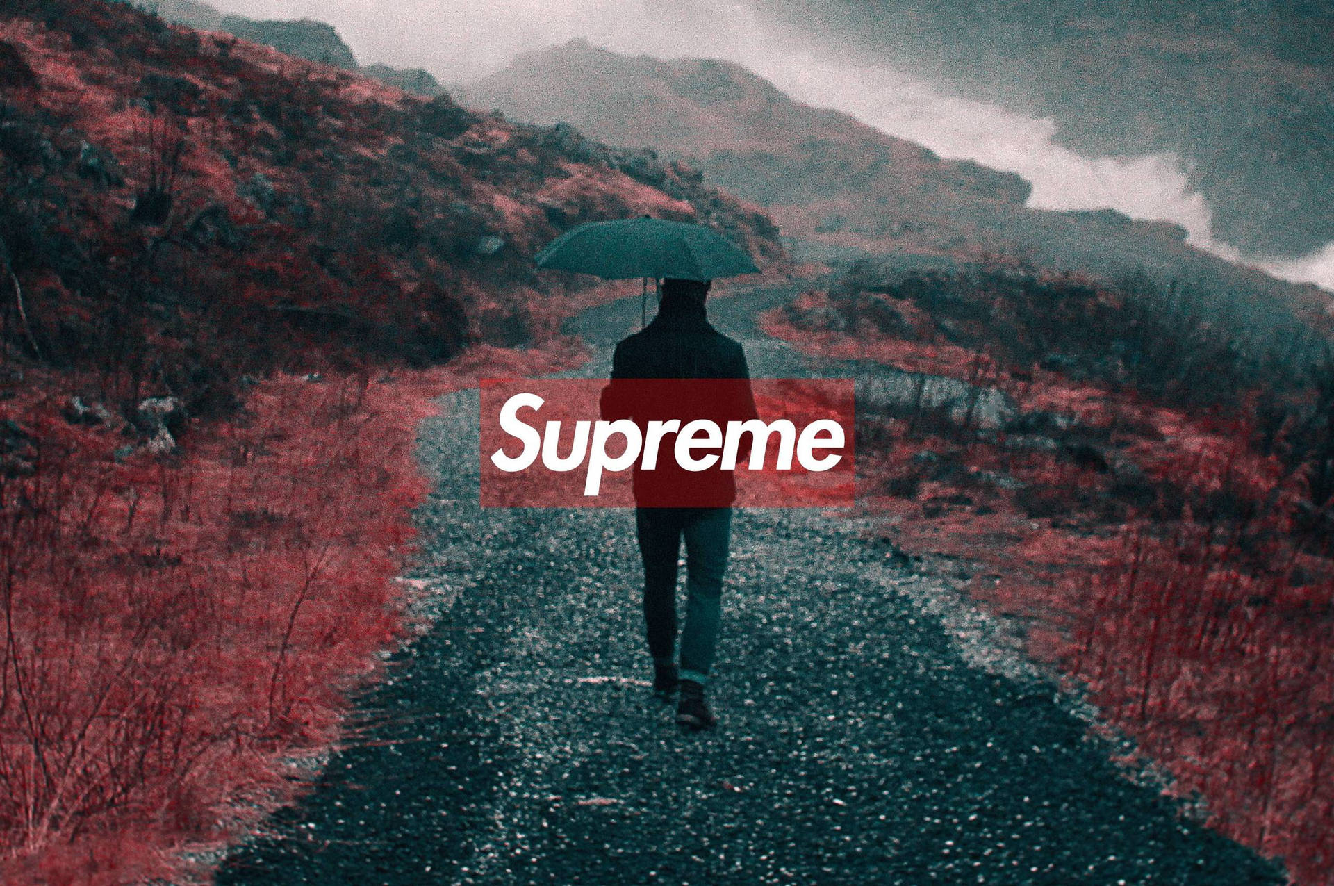 Supreme Chromebook 像素設計 壁紙 — 一個孤獨的身影撐著傘，在陰沉天空下，沿著潮濕的小路穿過霧氣瀰漫的山區。