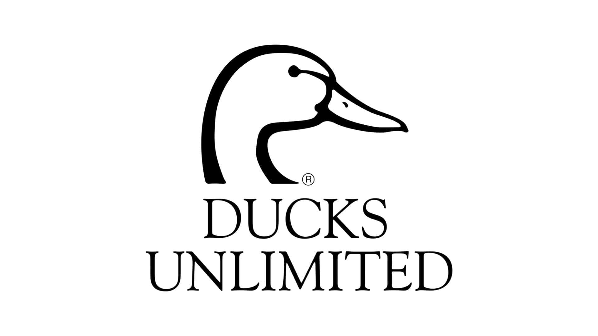  壁紙 — 一個極簡的黑白鴨頭標誌，位於 Ducks Unlimited 文字上方，背景為純白色。