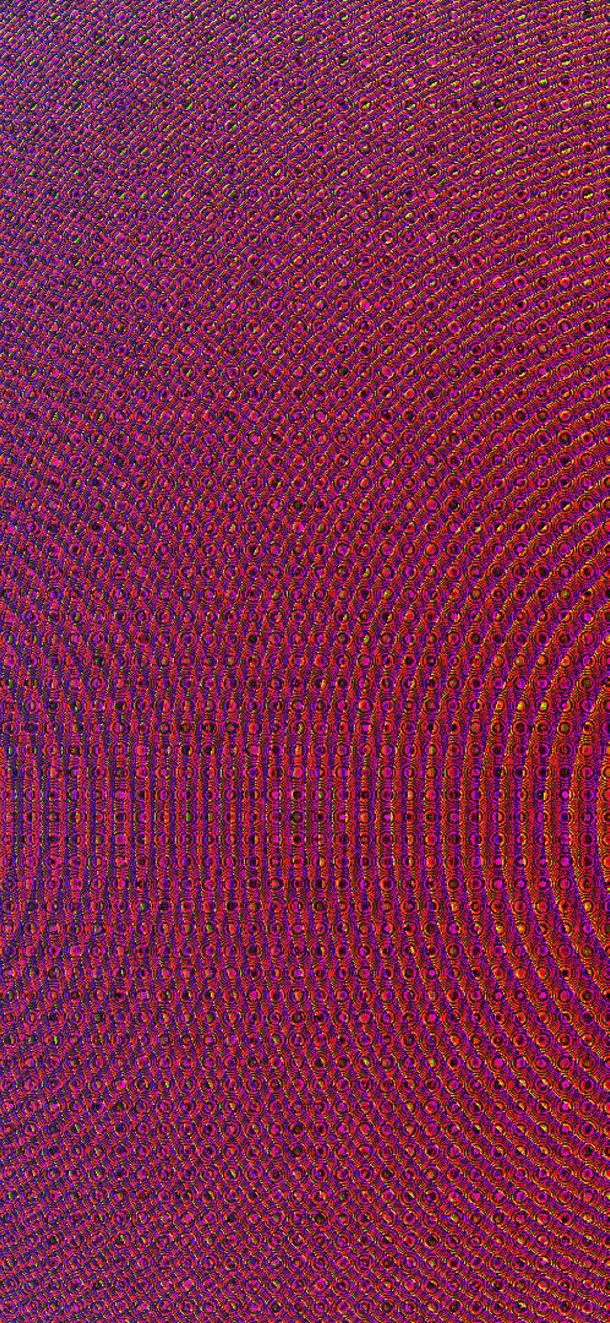 抽象數位藝術作品，採用洋紅色和深紅色的同心曲線。