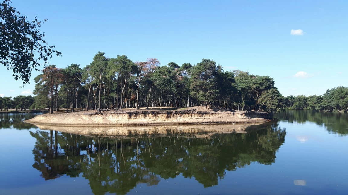 Tilburg 桌布 壁紙 — 一個寧靜的森林島嶼，高聳的樹木和裸露的土壤在晴朗的天空下完美地倒映在平靜的藍色水面上。