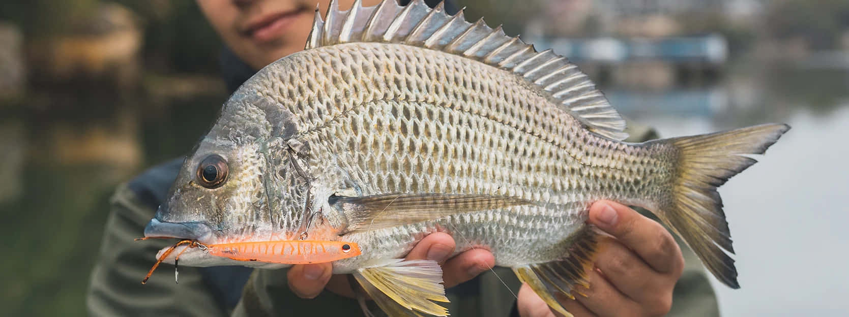  壁紙 — 一個人手持一條大銀魚，魚嘴裡叼著一個亮橙色魚餌，背景是模糊的水面。