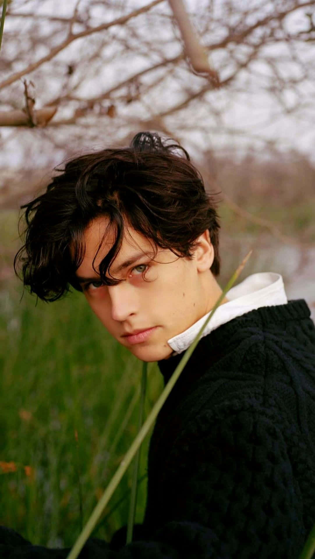 cole sprouse 桌布 壁紙 — 一個深色亂髮的年輕男子從高高的綠草和光禿的樹枝間凝視著。