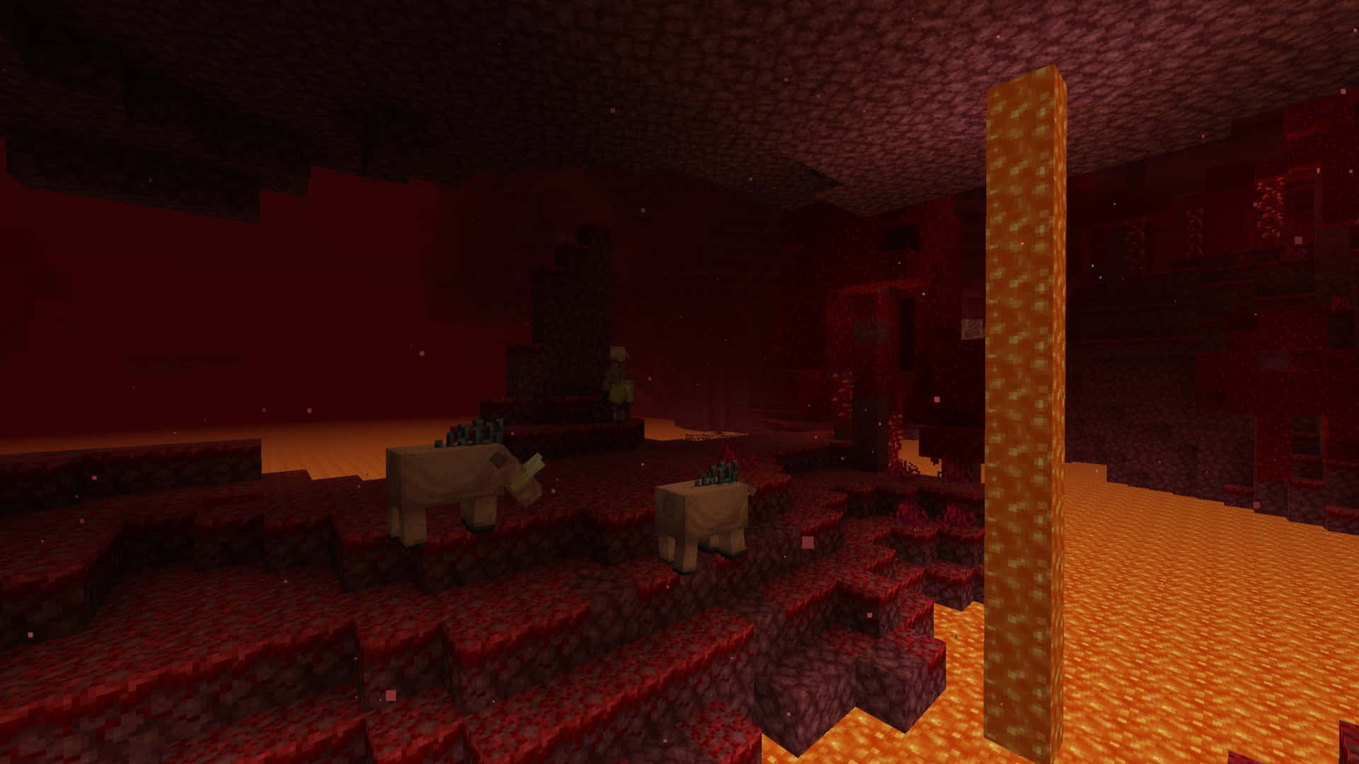  壁紙 — 一個光線昏暗的 Minecraft 地獄洞穴，有發光的橙色熔岩流和兩隻站在紅色地獄石方塊上的豬。
