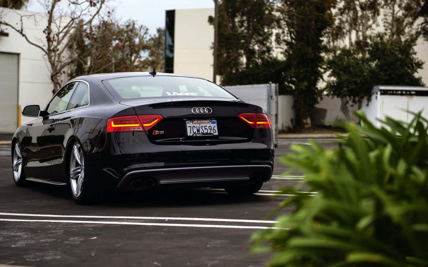 Audi S5 桌布 壁紙 — 一架時尚的黑色奧迪S5轎跑車停在停車場，前景有綠色植物，後面是工業建築。