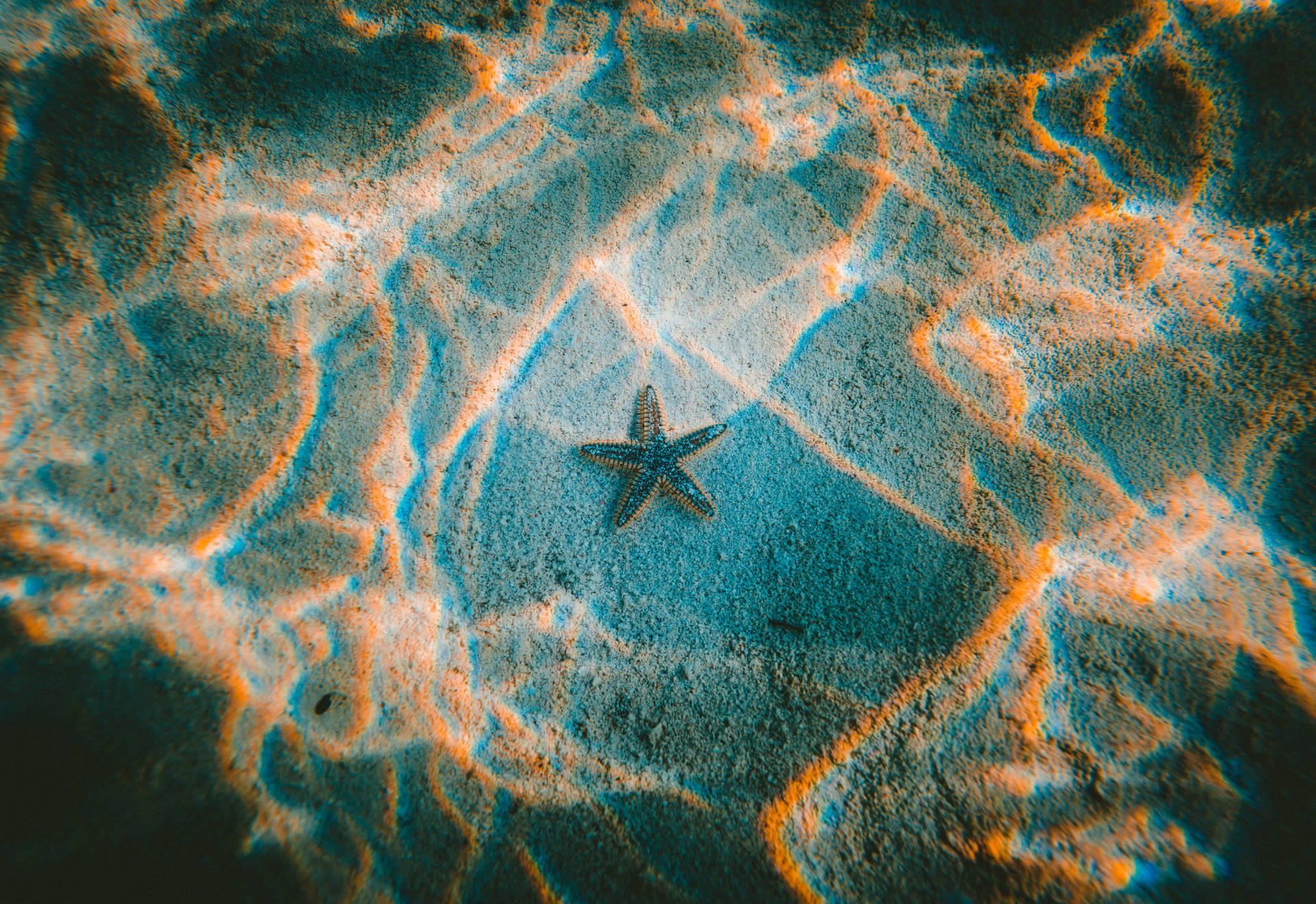 Tumblr 海灘上的海星 壁紙 — 一顆海星躺在沙質海底，被上方舞動的橙色和藍色光線圖案照亮。