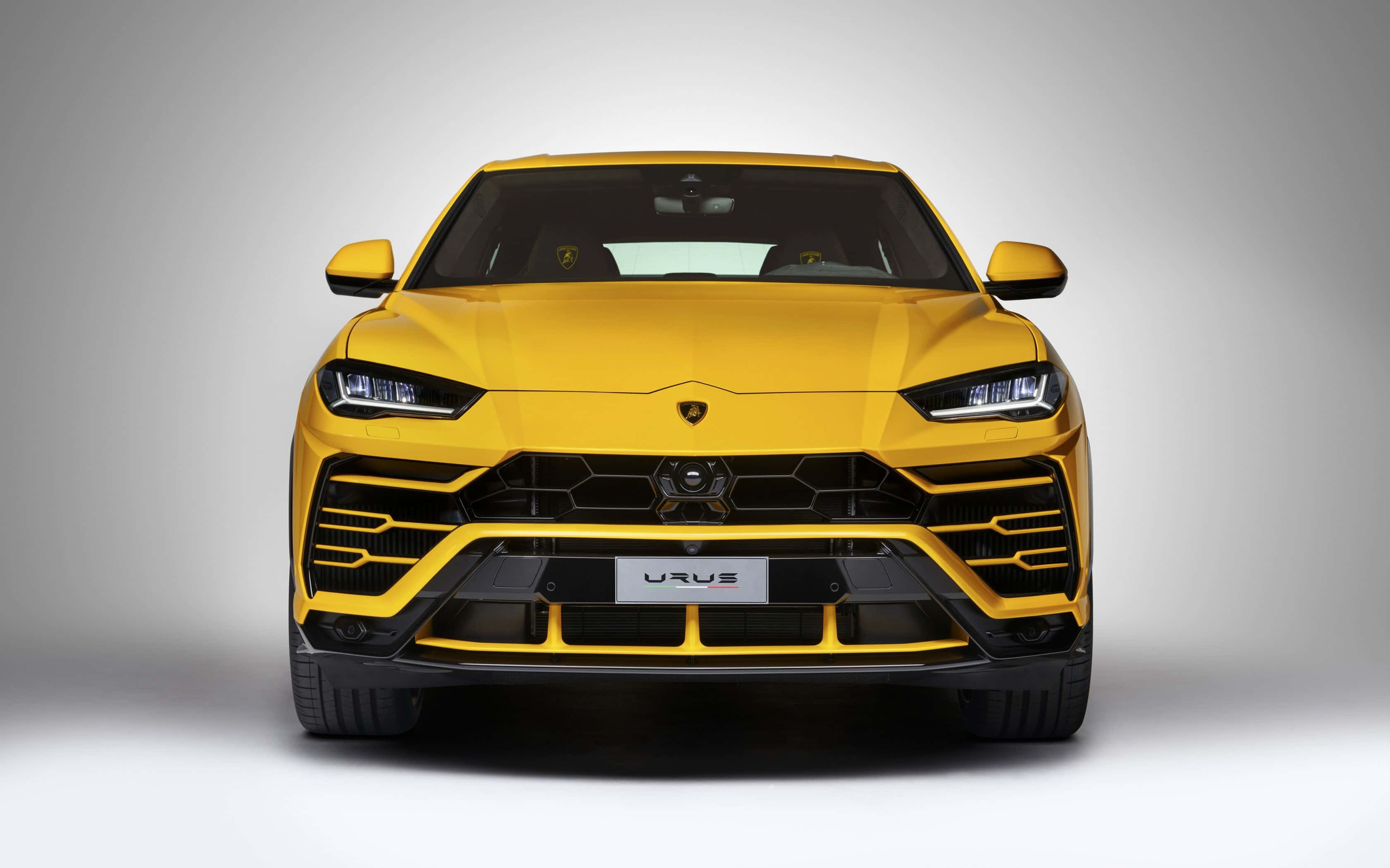 Lamborghini Urus 桌布 壁紙 — 一輛大膽的黃色林寶堅尼 Urus SUV 配備侵略性棱角頭燈和六邊形鬼面罩，在灰色工作室背景前凝視前方。