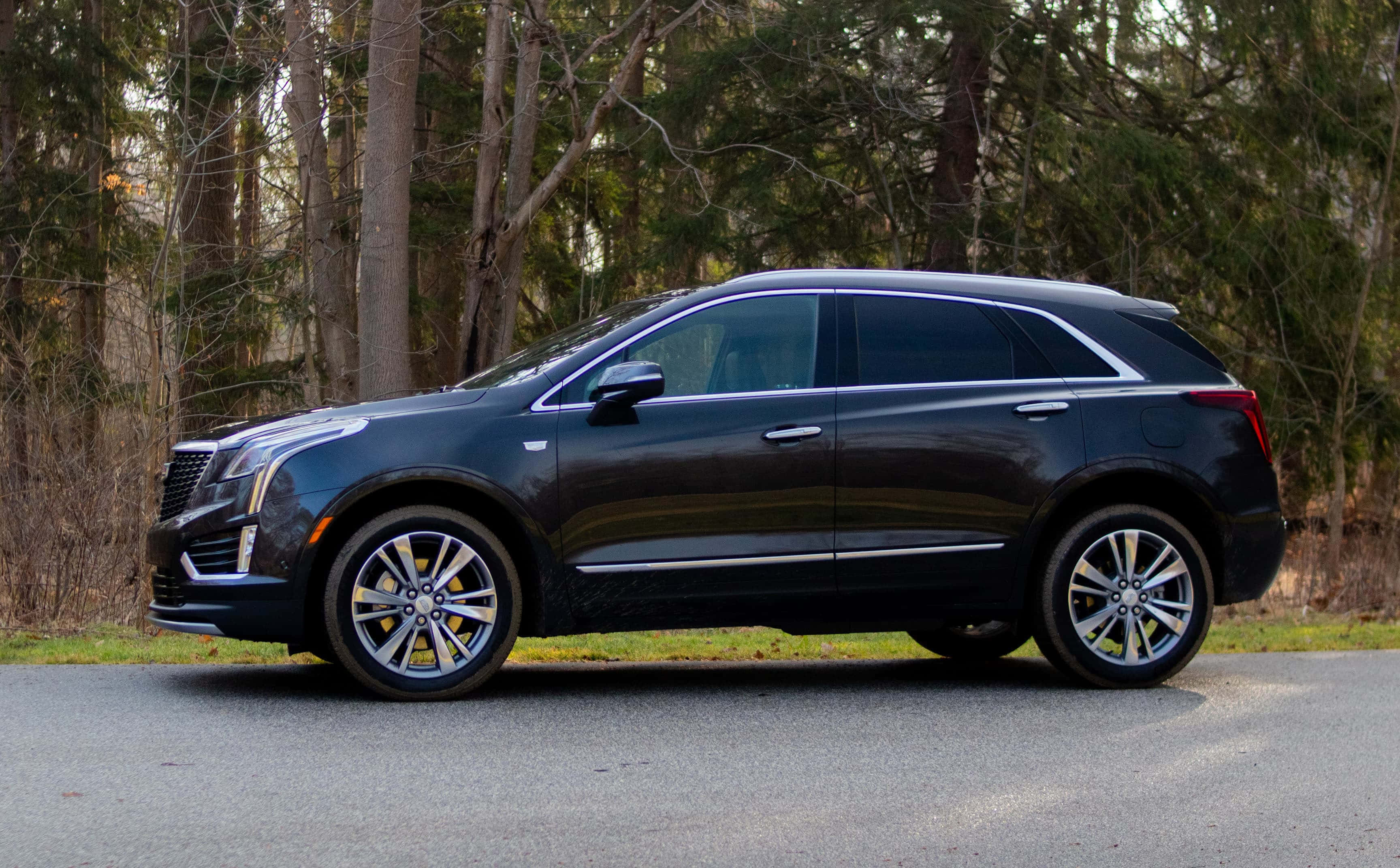 Cadillac Xt5 桌布 壁紙 — 一輛時尚的黑色凱迪拉克SUV停在鋪砌的道路上，旁邊是樹木光禿、落葉滿地的森林。