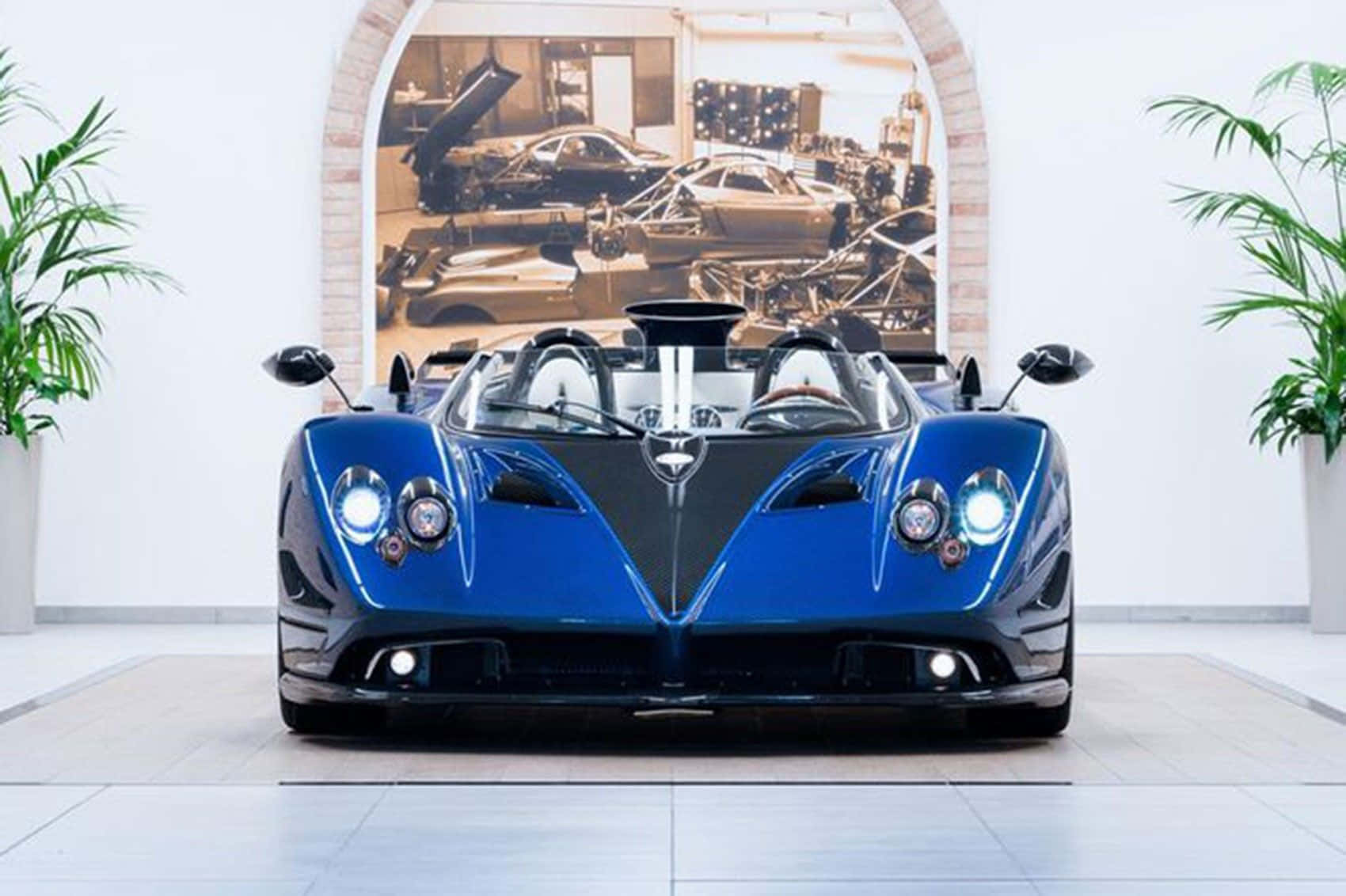 Pagani Zonda Hp Barchetta 桌布 壁紙 — 一輛引人注目的藍黑配色帕加尼Huayra跑車在簡約白色展廳中展示，背景有盆栽植物和復古汽車壁畫。