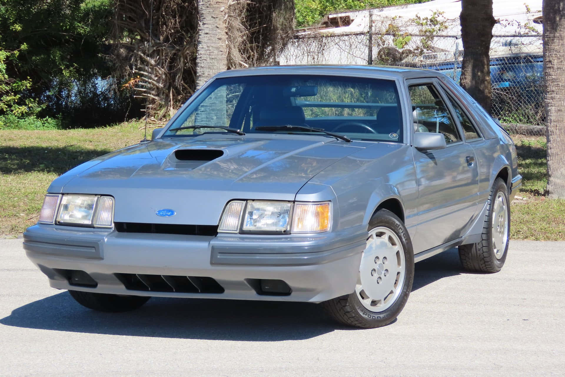  壁紙 — 一輛銀色1980年代福特野馬停泊在陽光普照的瀝青停車場，背景有樹木和鐵絲網圍欄。