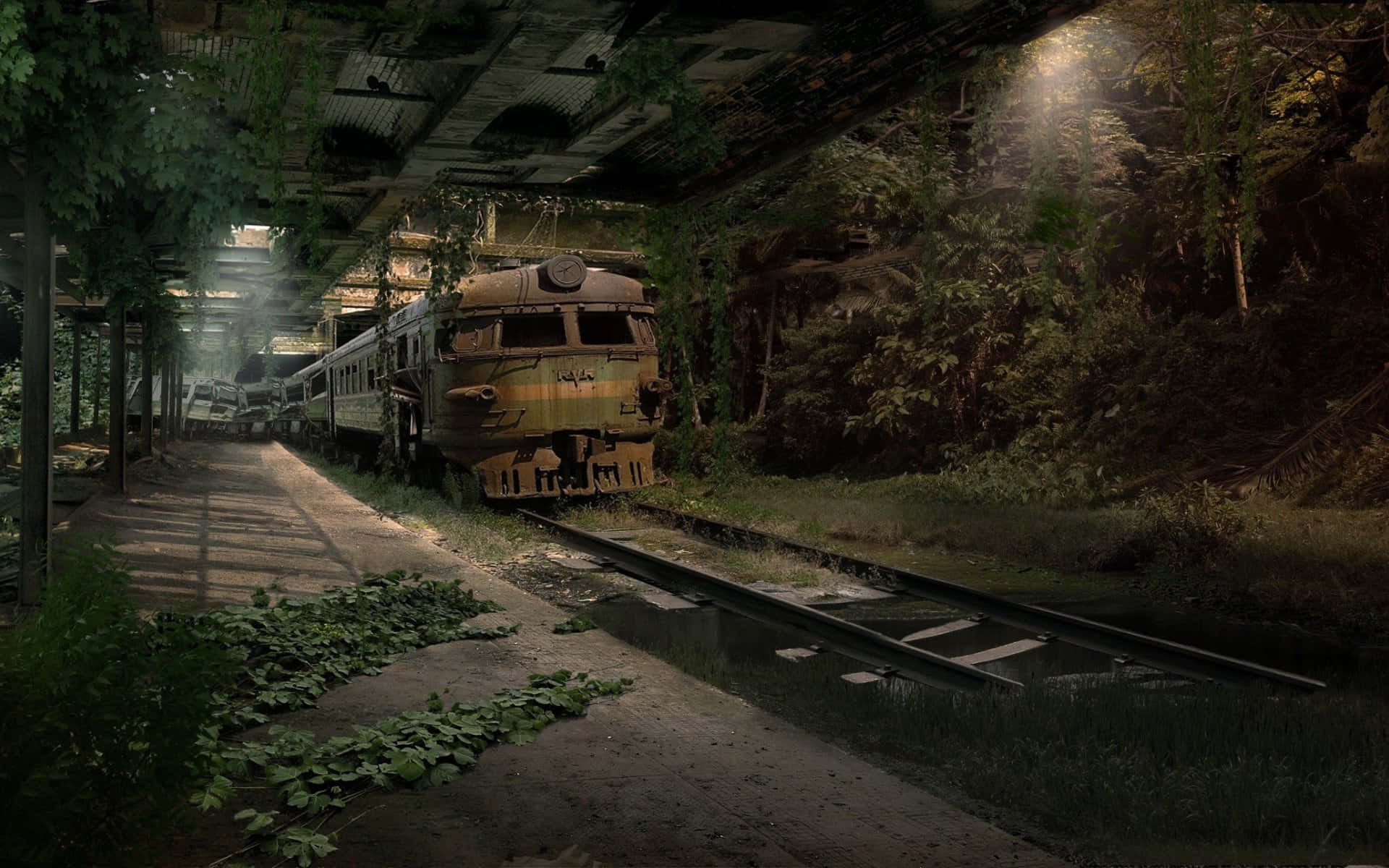  壁紙 — 一列被遺棄的火車在破舊的車站屋頂下生鏽並長滿植物，陽光穿過樹葉照射進來。