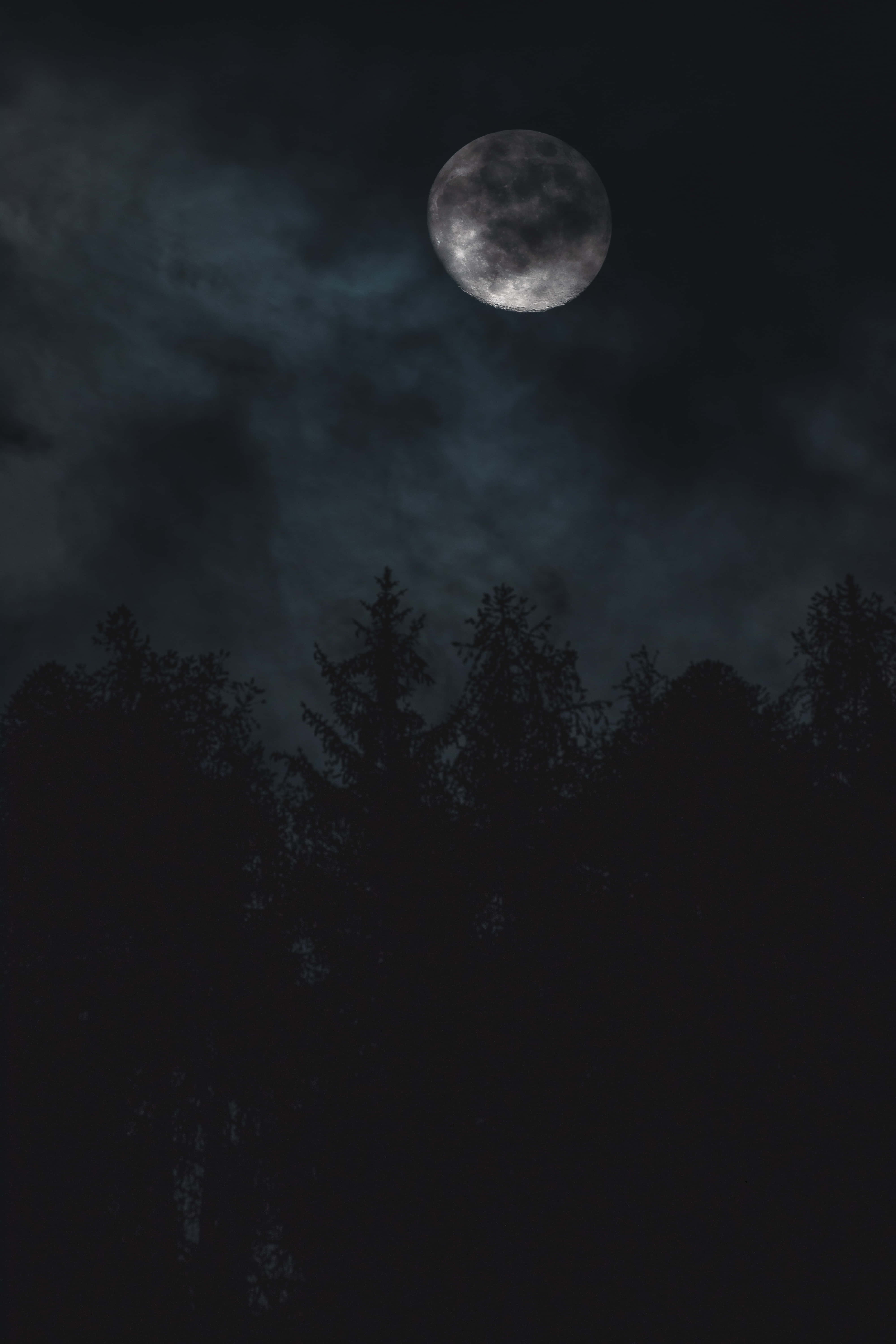 Midnight 桌布 壁紙 — 一輪明亮的滿月穿過烏雲，照耀在夜晚松樹的剪影之上。