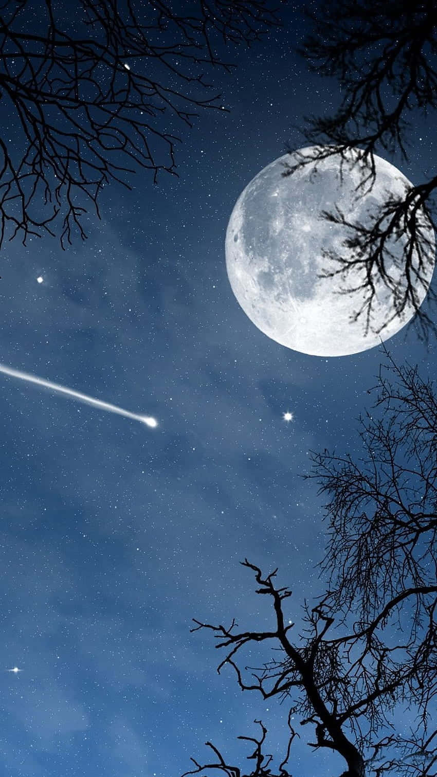  壁紙 — 一輪明亮的滿月懸掛在繁星點點的夜空，由光禿的樹枝框住，一顆流星劃過天際。