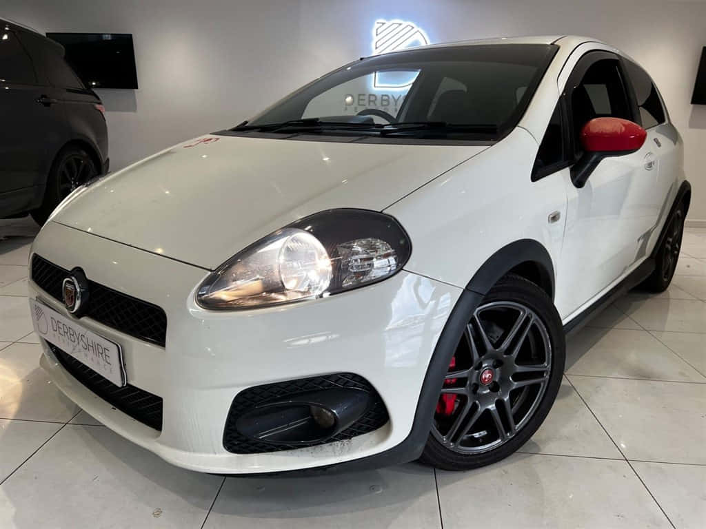 Fiat Punto 桌布 壁紙 — 一輛純白色的菲亞特Punto Evo，帶有黑色飾條和紅色制動卡鉗，在展廳燈光下閃閃發光。