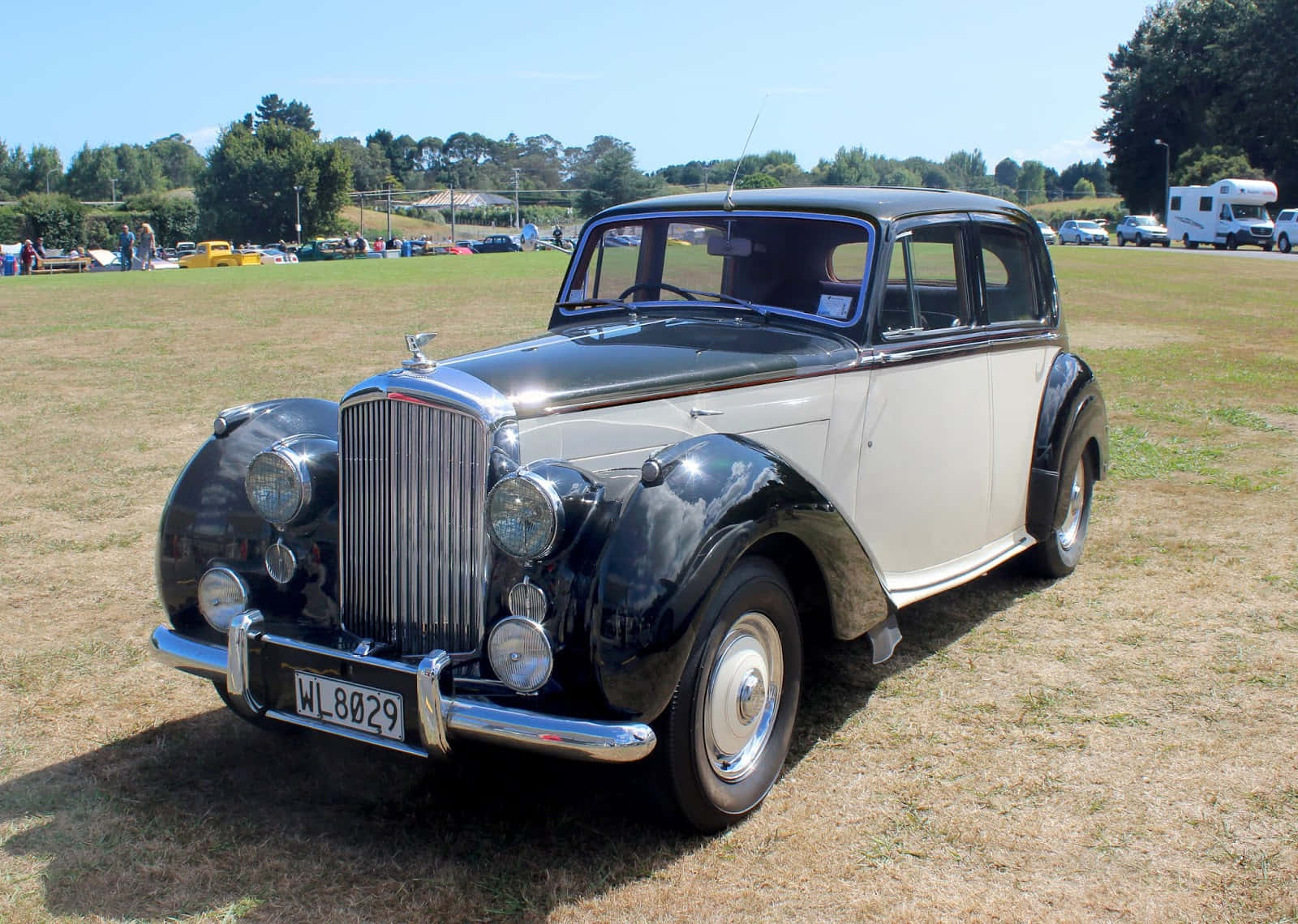 Bentley Mark Vi 桌布 壁紙 — 一輛經典雙色復古車，帶有鍍鉻裝飾，在車展的草地上閃耀著明亮的陽光。