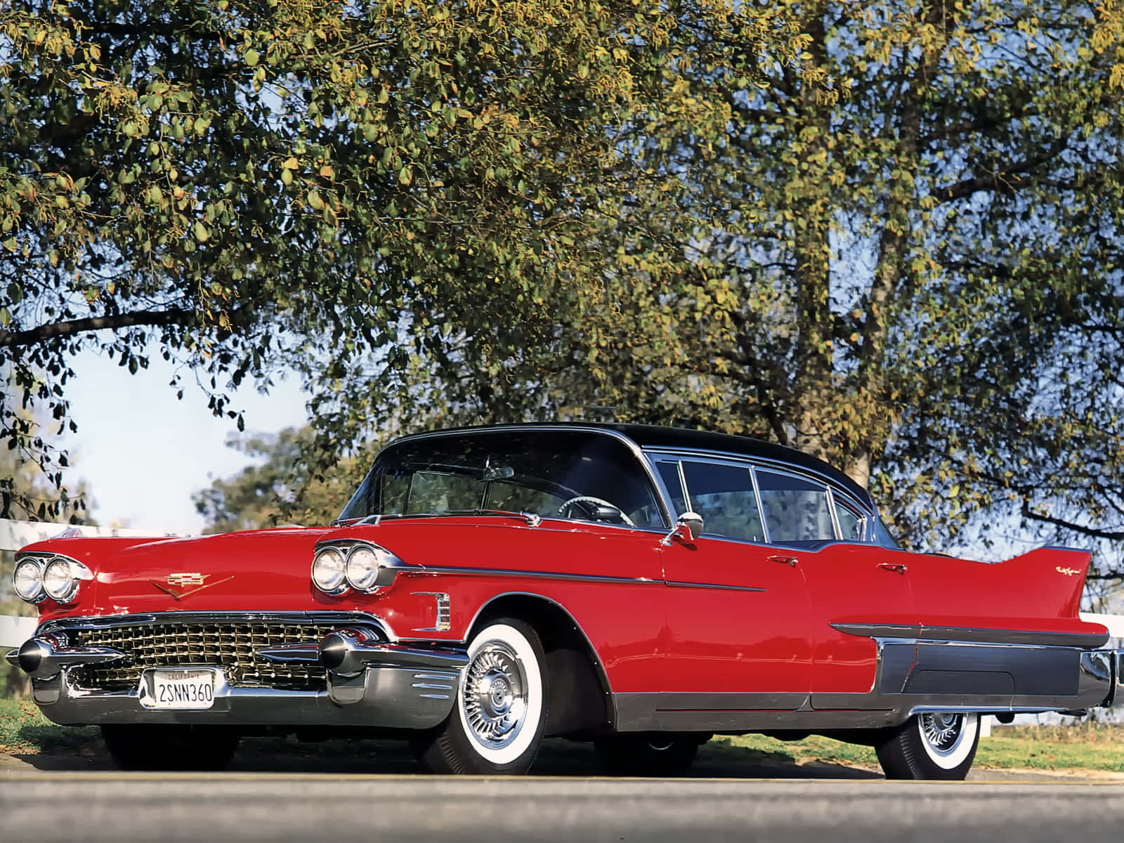 Cadillac Fleetwood 桌布 壁紙 — 一輛閃亮的紅色1959年凱迪拉克，帶有鍍鉻細節，停在陽光明媚的日子裡樹葉茂密的樹下。
