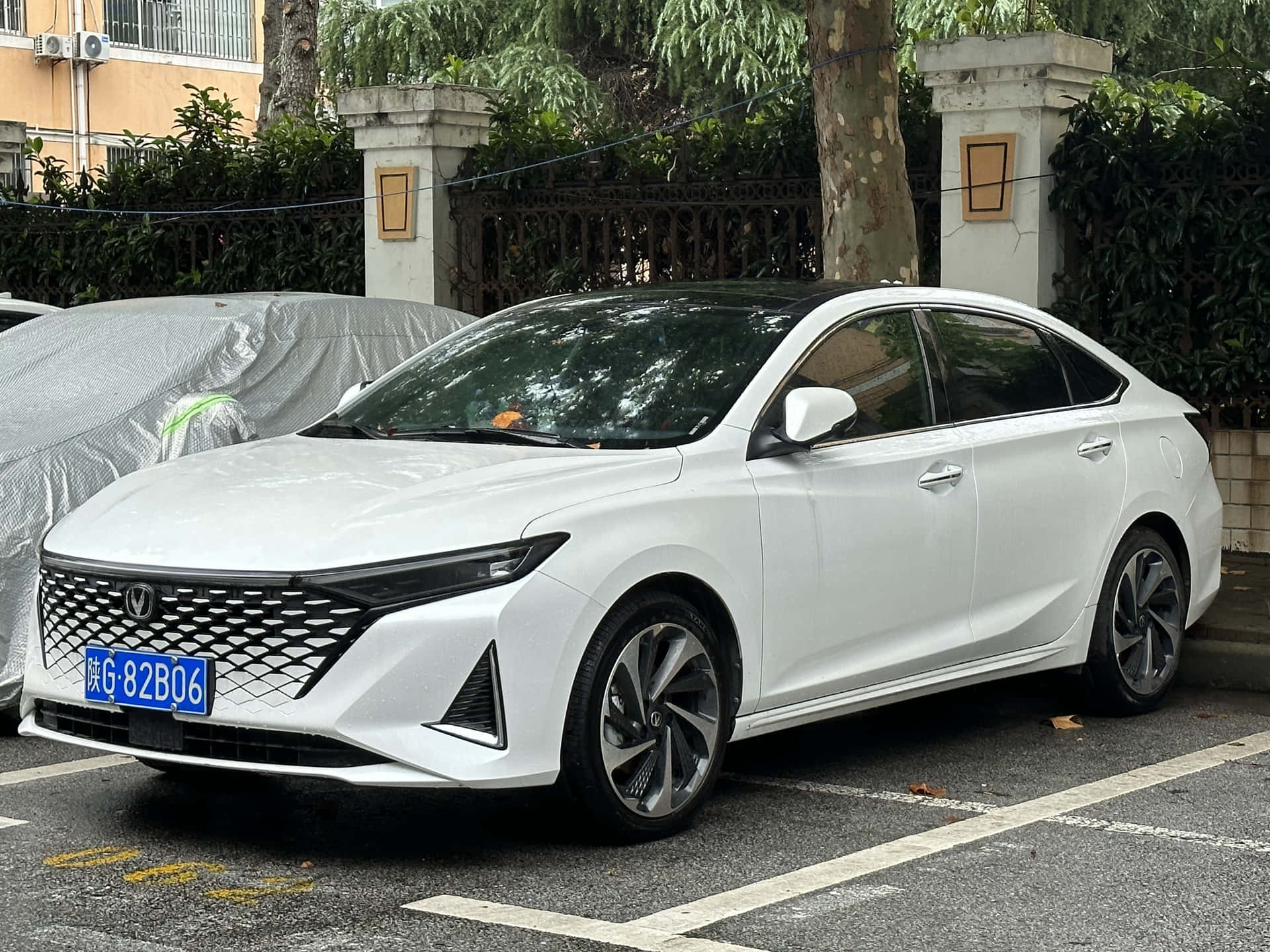  壁紙 — 一輛時尚的白色轎車帶有黑色飾邊，停在有遮蓋的汽車和茂密綠植旁邊的陰涼城市地段。