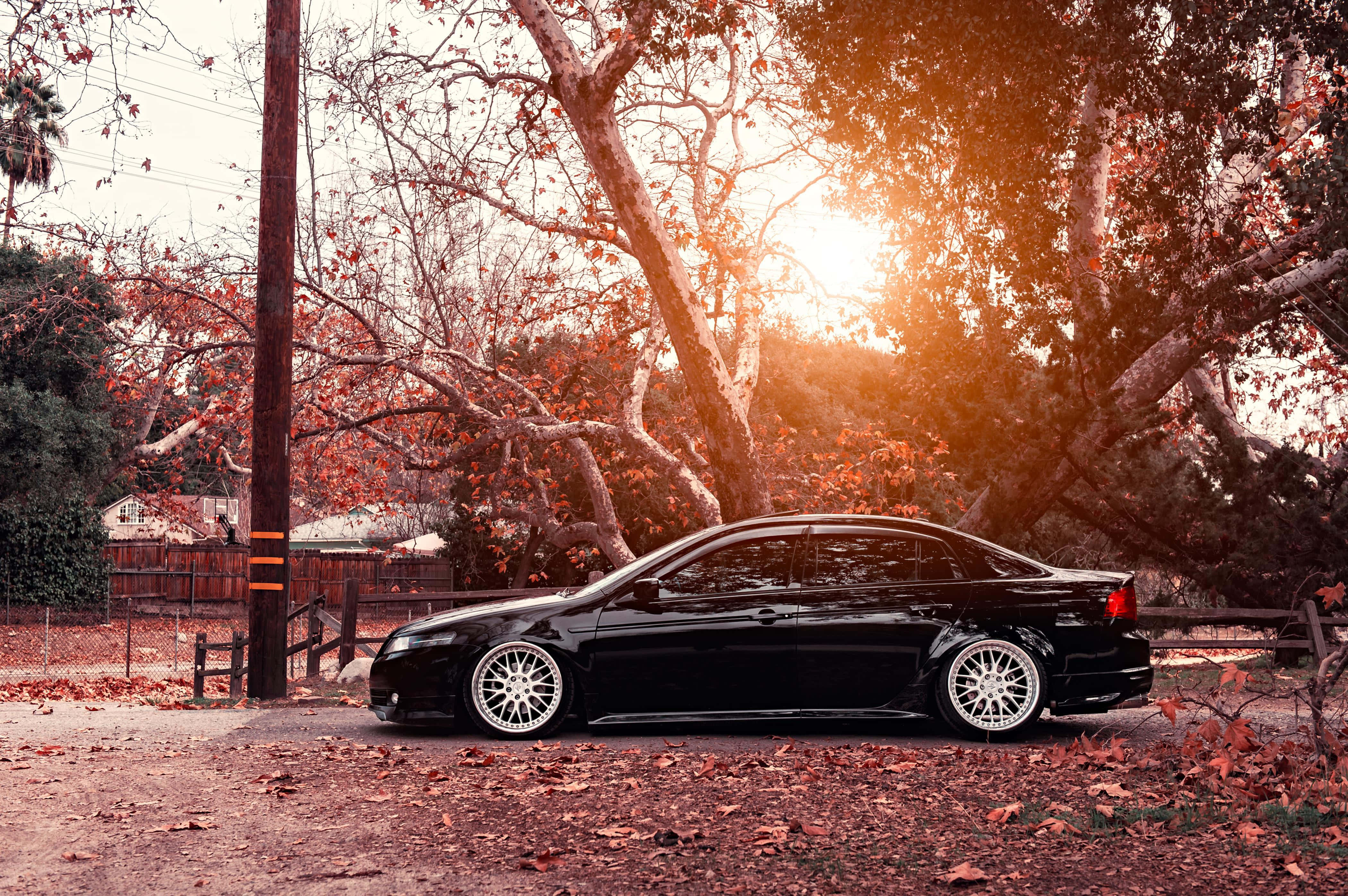 Acura Tl 桌布 壁紙 — 一輛時尚的黑色轎車配白色輪圈，停在秋天的樹下，金色陽光穿過光禿的樹枝。
