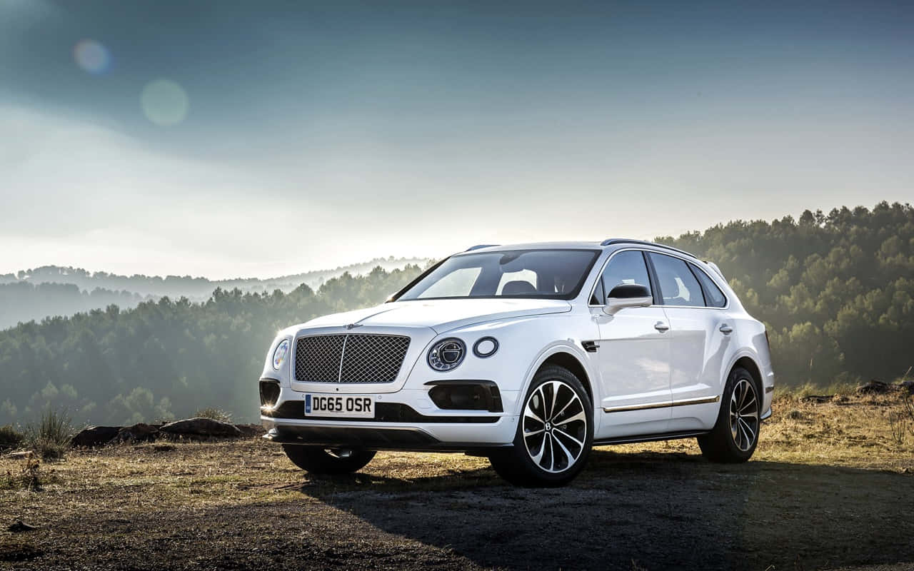Bentley Bentayga 桌布 壁紙 — 一輛純白色的賓利Bentayga SUV停在崎嶇的山坡上，俯瞰日出時分的森林山谷。