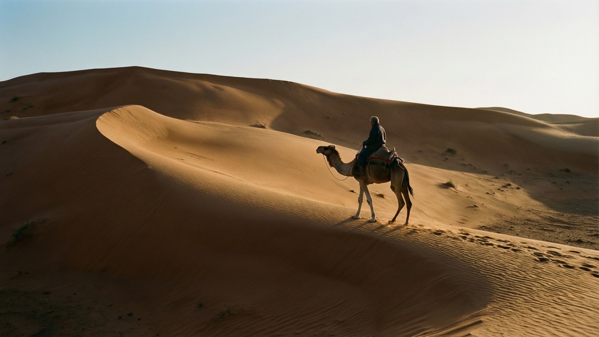 Sudan 桌布 壁紙 — 一名孤獨的騎手騎著駱駝，在日出時分穿越金色沙丘，天空清澈湛藍。