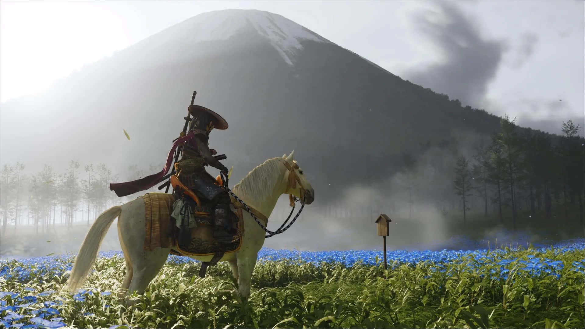  壁紙 — 一名武士騎著白馬穿過霧氣瀰漫的藍色花田，背景是白雪覆蓋的山峰。