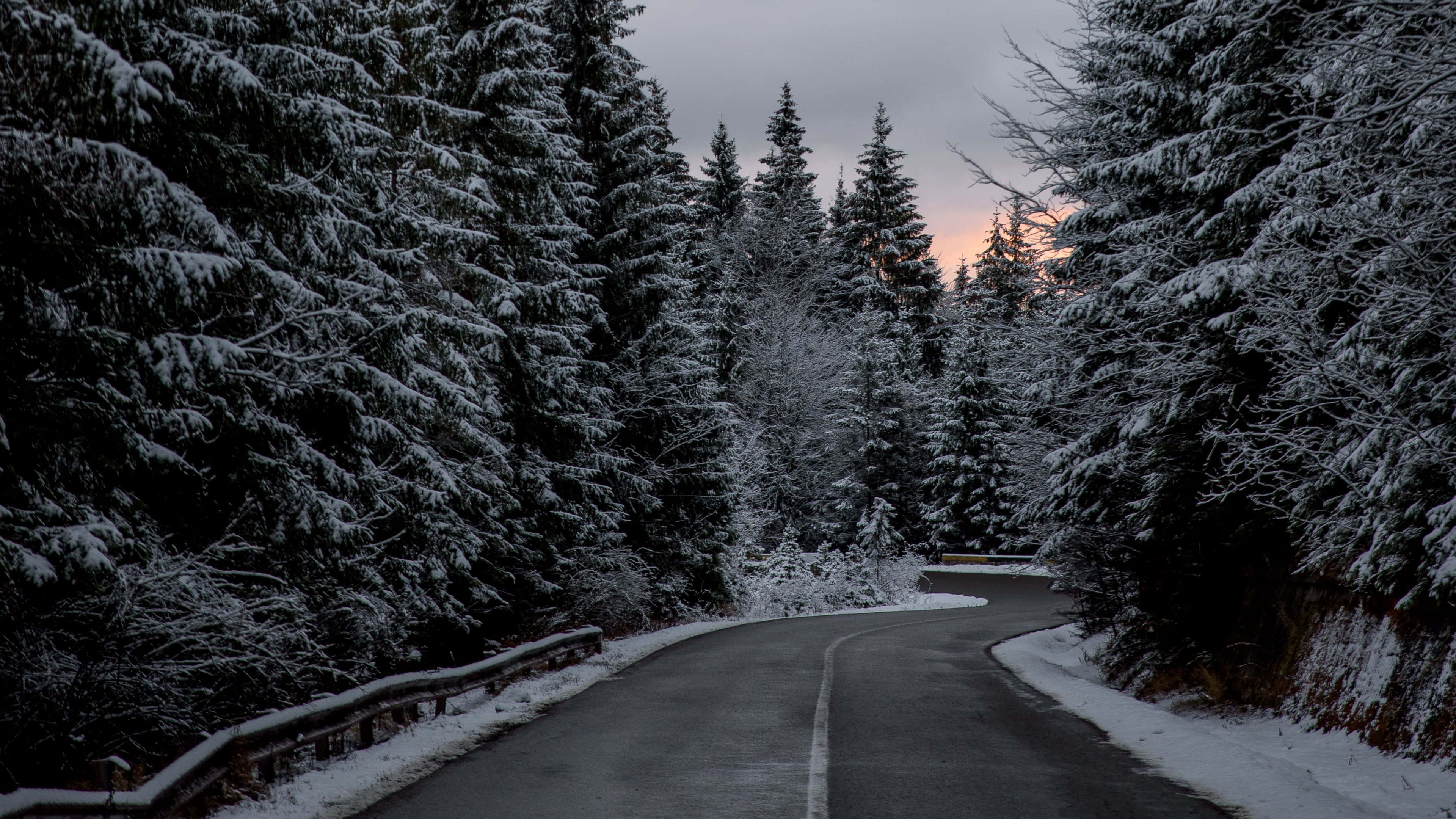 Snowy Road 桌布 壁紙 — 一條蜿蜒的積雪道路穿過茂密的積雪常綠樹林，在暮色天空下蜿蜒前行。