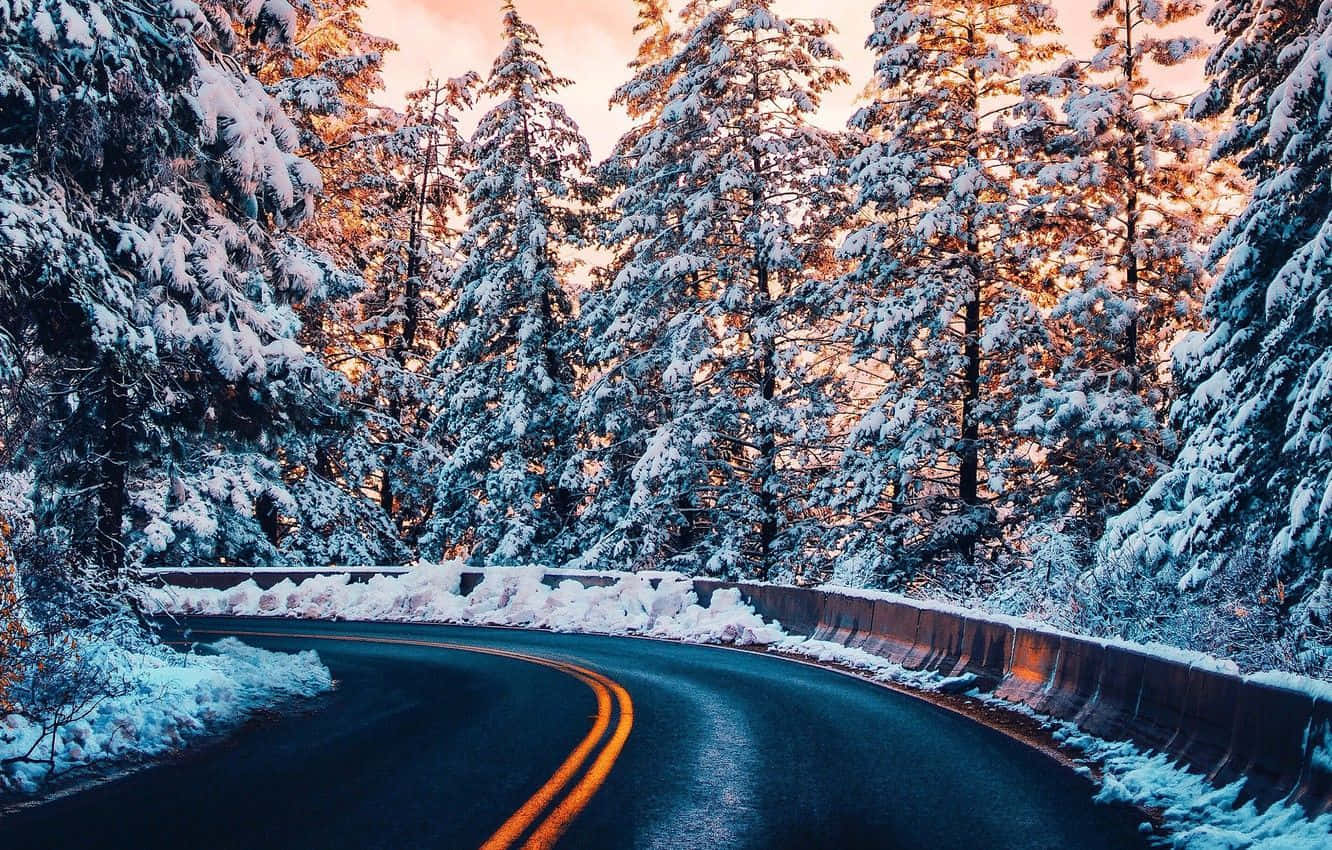 Snowy Road 桌布 壁紙 — 一條蜿蜒的雪路穿過茂密的松樹林，沐浴在溫暖的夕陽餘暉中。