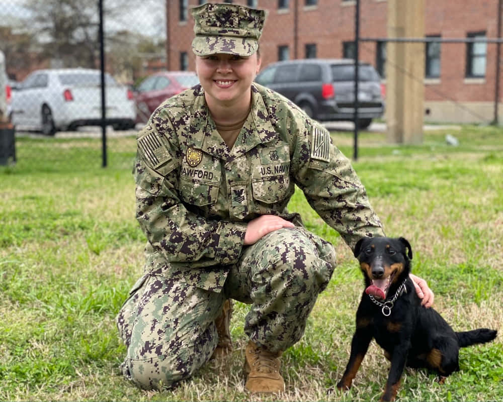  壁紙 — 一位微笑的美國海軍軍人跪在草地上，旁邊有一隻戴著項圈的黑褐色狗。