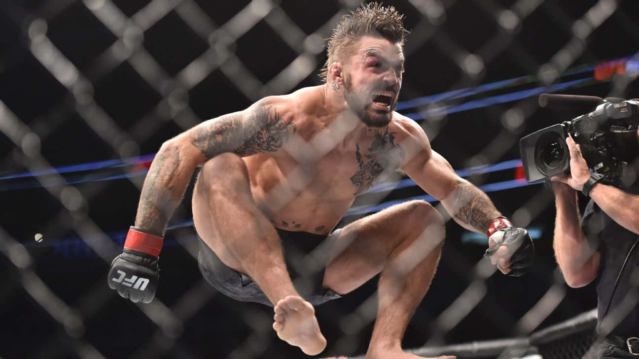  壁紙 — 一位紋身的MMA拳手穿著黑色短褲和手套，在UFC八角籠內勝利跳躍，鏡頭中可見一名攝影師。