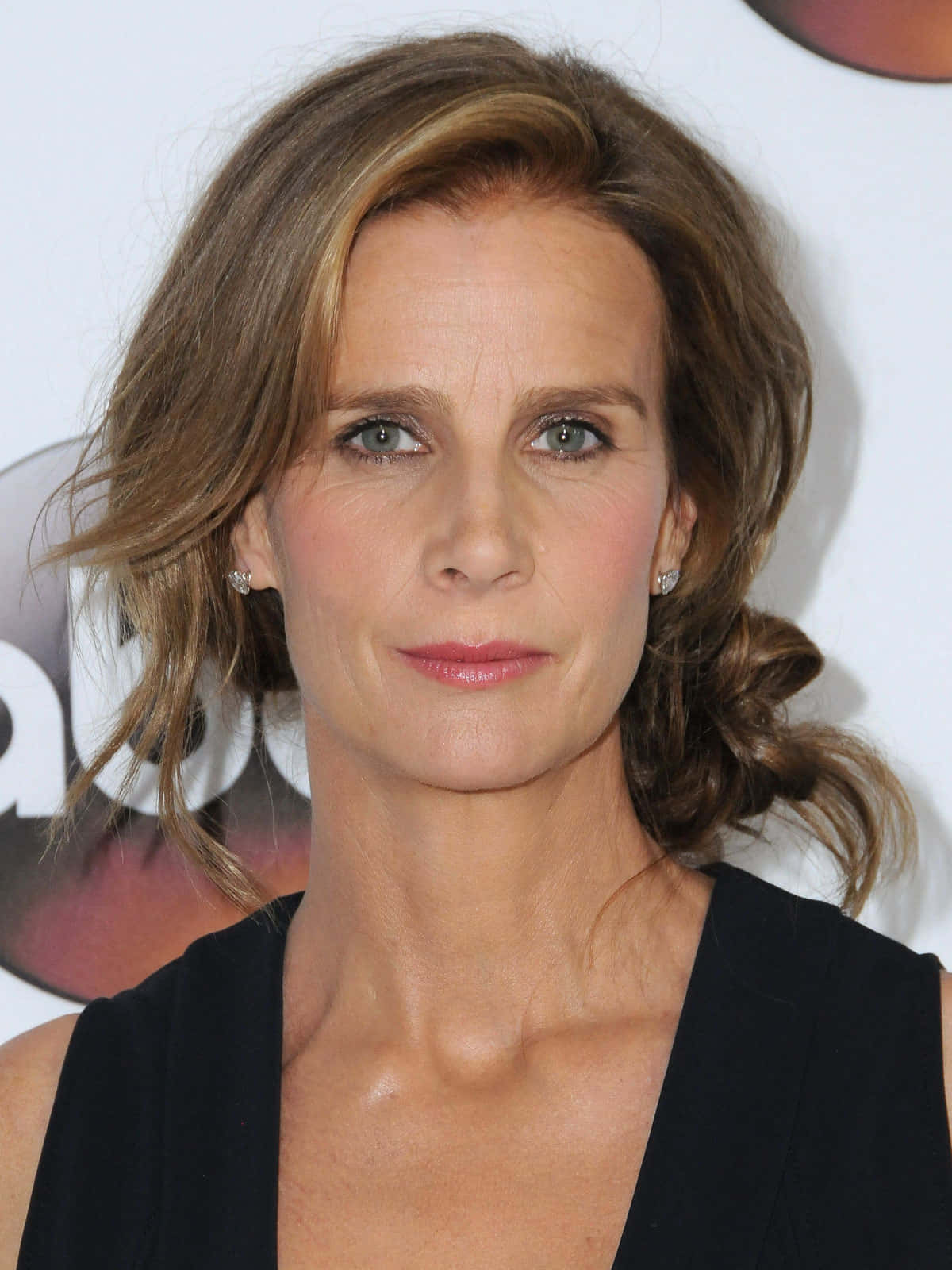 Rachel Griffiths 桌布 壁紙 — 一位擁有波浪棕色頭髮和淡妝的女性特寫肖像，身穿黑色無袖上衣。