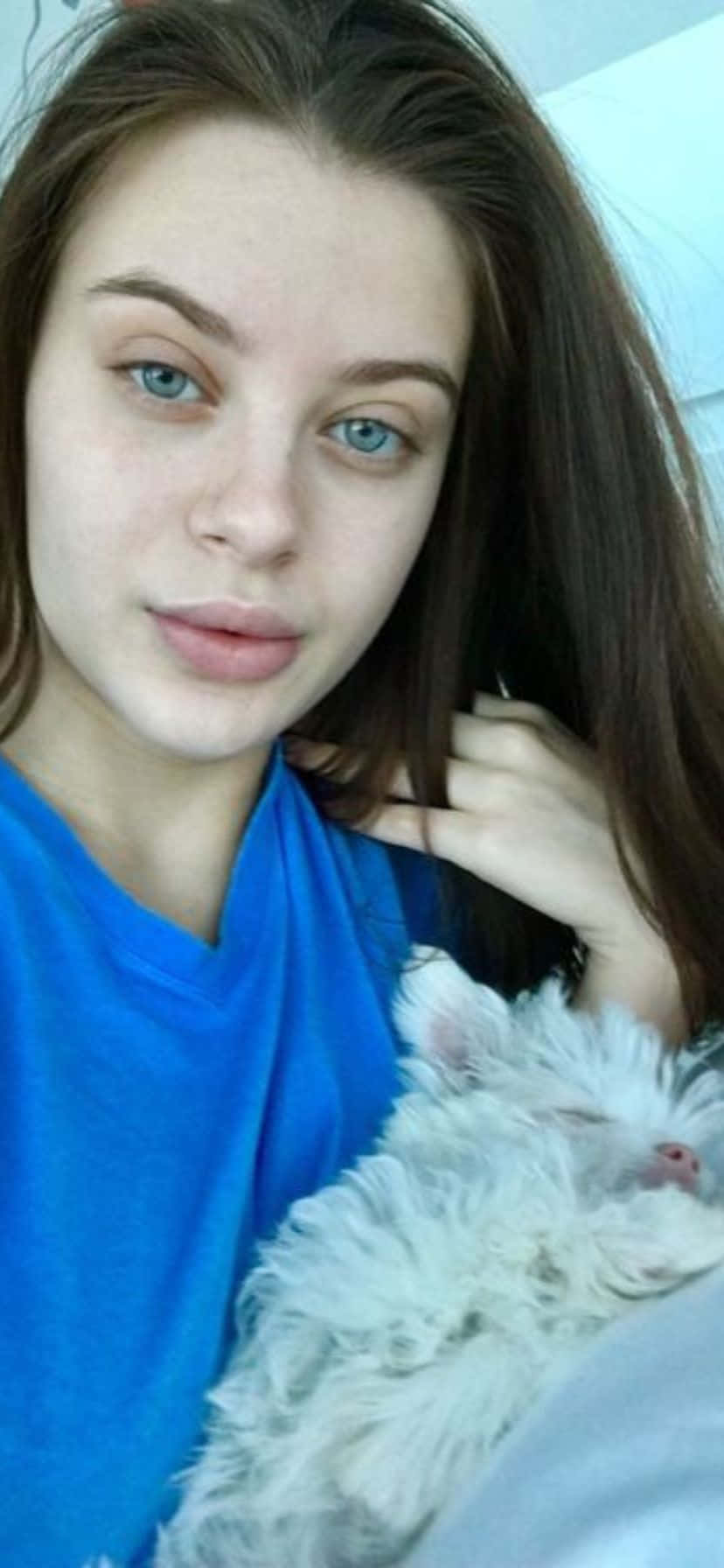  壁紙 — 一位擁有引人注目的藍眼睛的年輕女子，輕輕地抱著一隻在她懷中安詳休息的蓬鬆白貓。