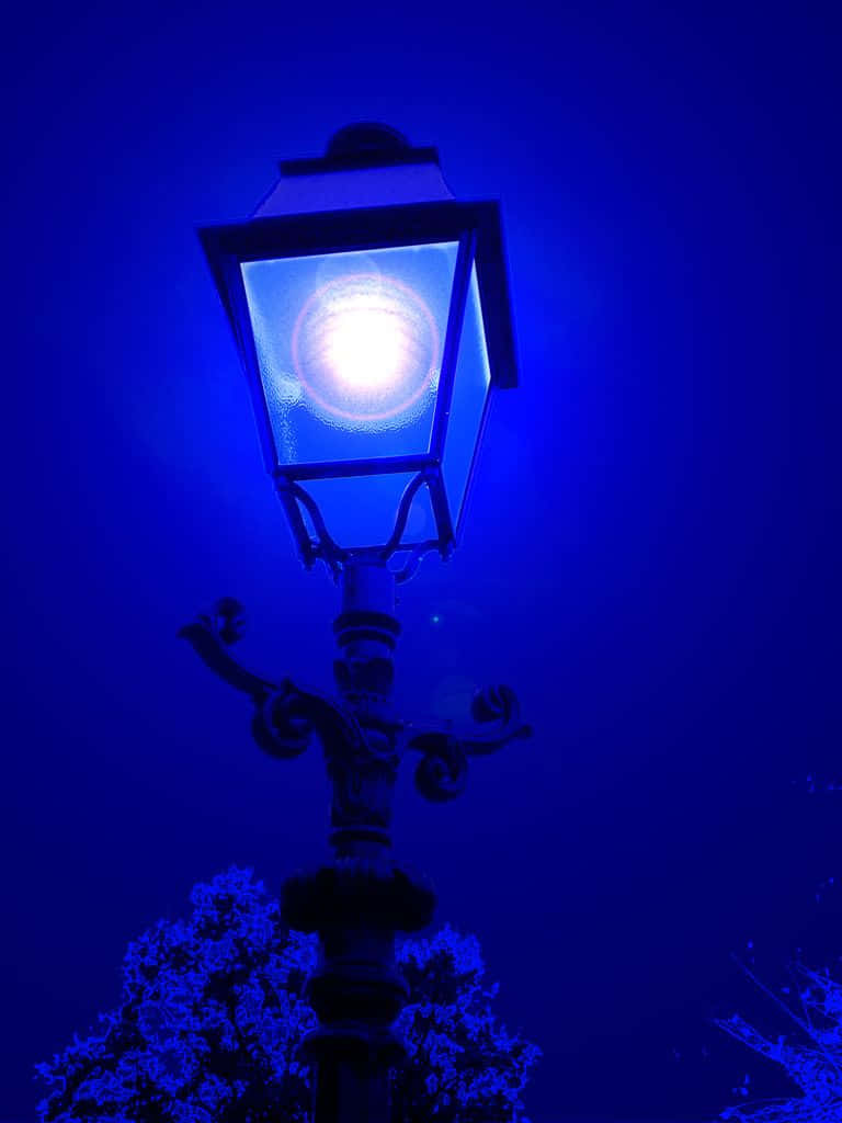  壁紙 — 一盞復古路燈在深藍色夜空下溫暖地發光，下方有樹木剪影。