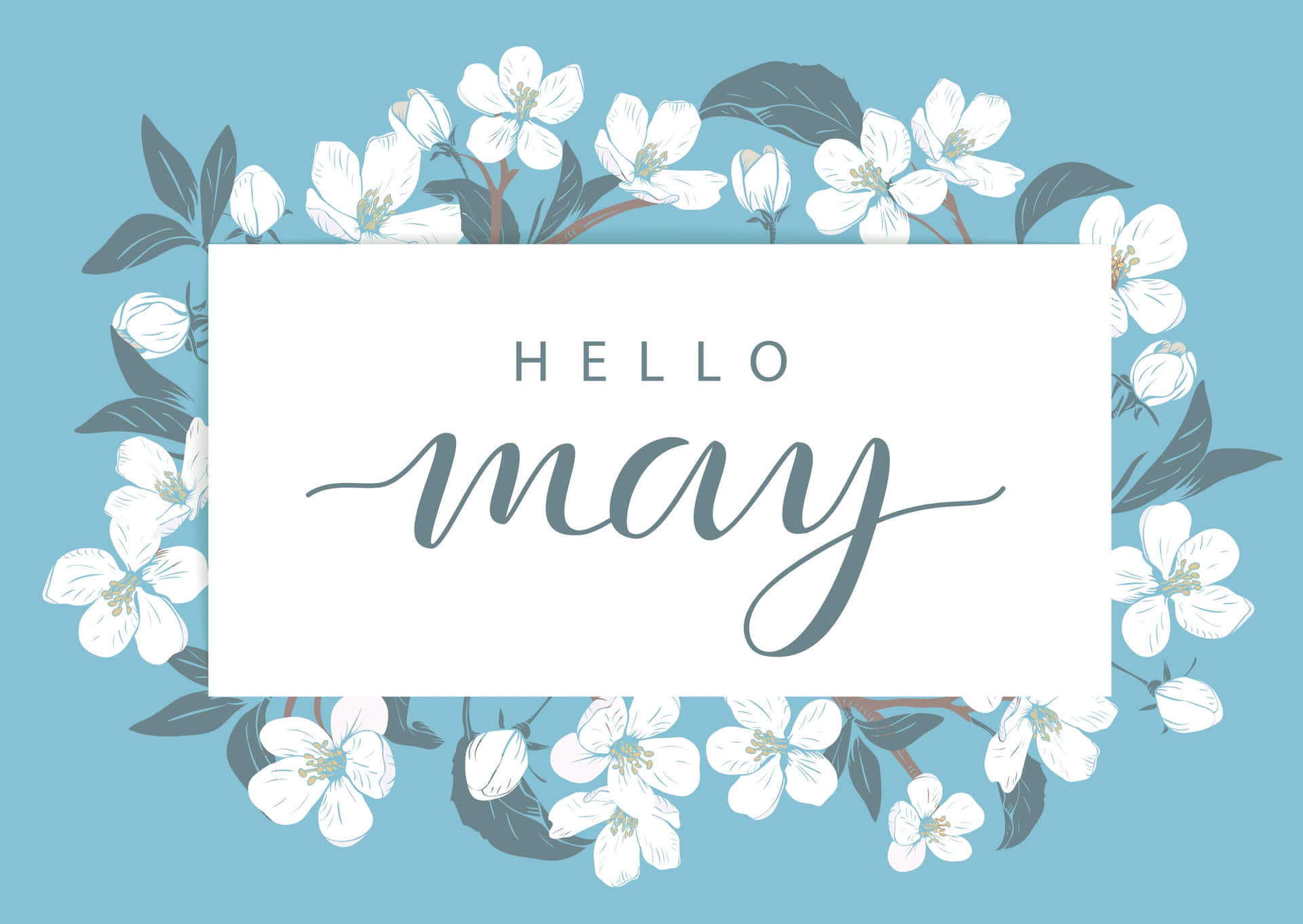 Hello May 問候卡，以白色花朵和綠色葉子點綴在藍色背景上