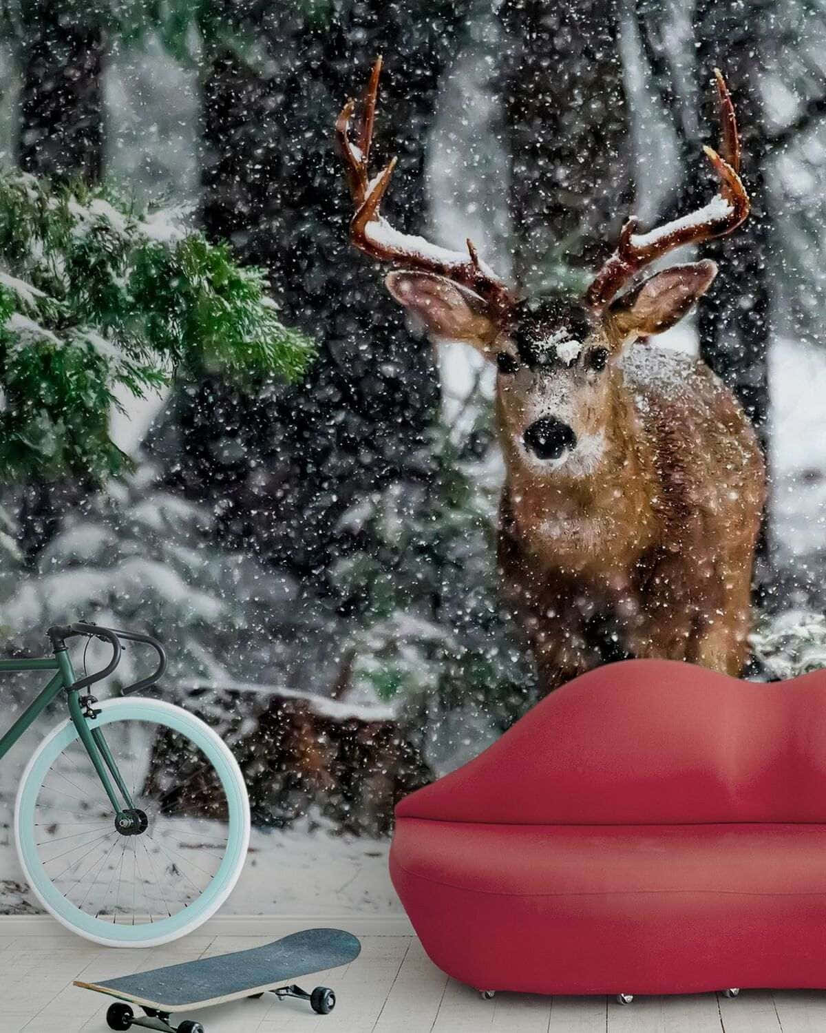  壁紙 — 一隻雄偉的、覆蓋著雪的鹿站在冬季森林中，雪花飄落，由紅色唇形沙發、綠色單車和滑板框出一個超現實的室內場景。