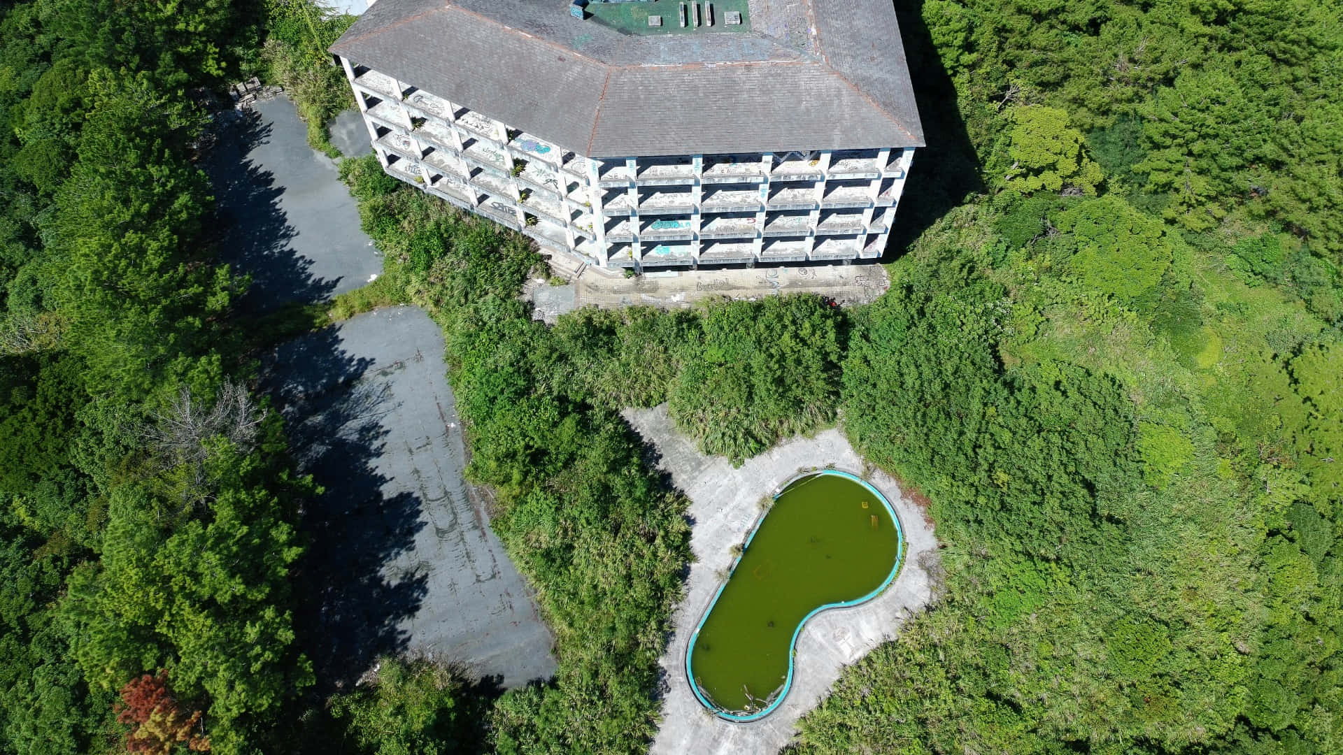  壁紙 — 一座風化的多層建築的鳥瞰圖，周圍環繞著茂密的綠色森林和一個長滿藻類的游泳池。