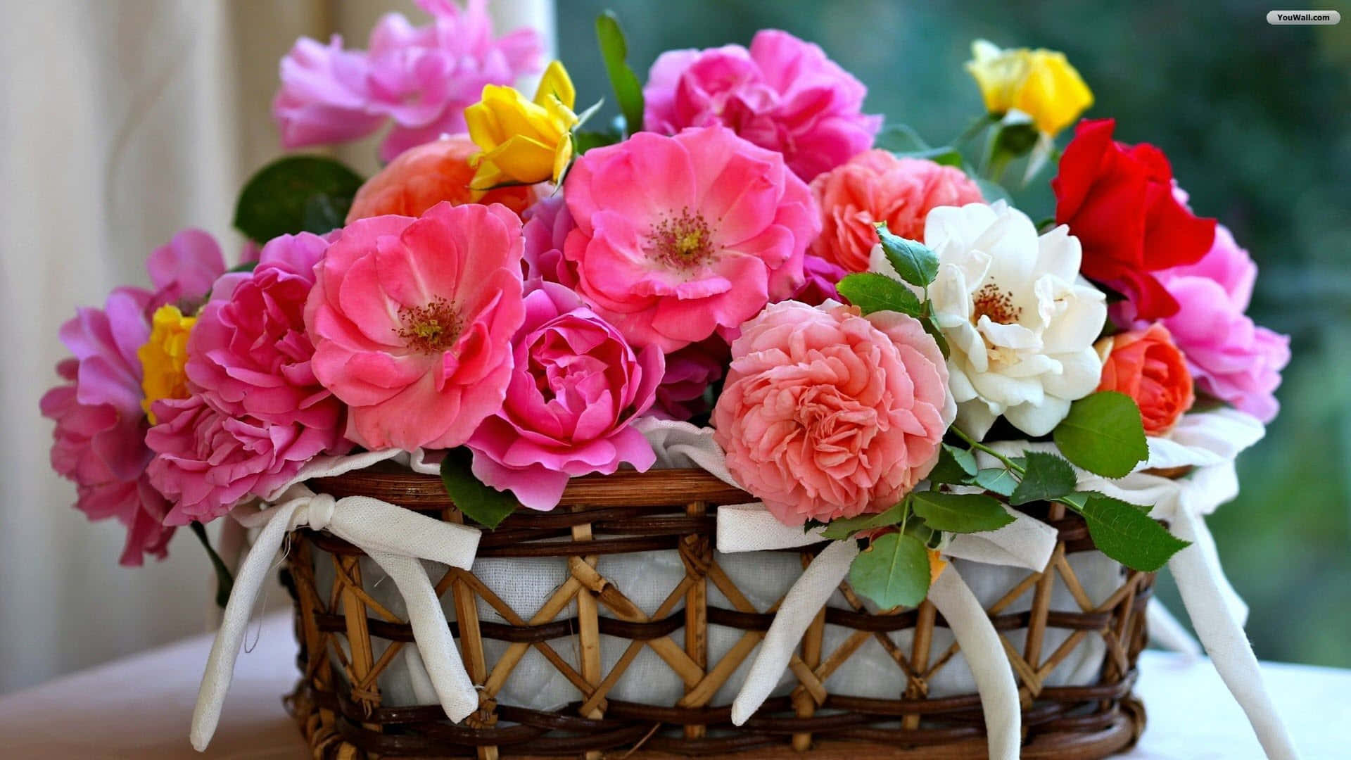 Floral Arrangement 桌布 壁紙 — 一個編織籃子，裝滿了鮮豔的粉紅色、紅色、白色和黃色玫瑰，並用白色絲帶綁著。