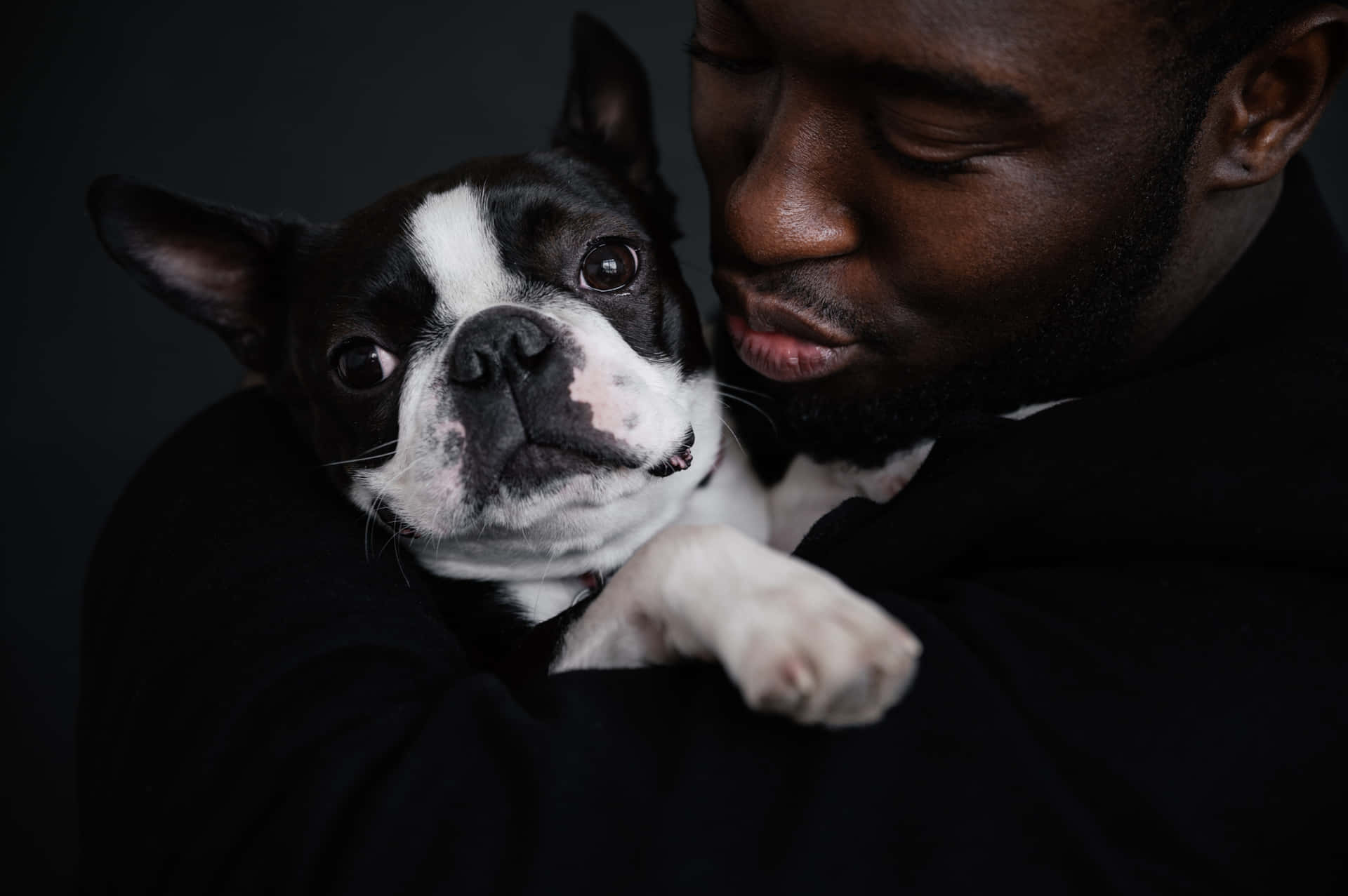 一個男人緊緊擁抱一隻波士頓㹴犬。