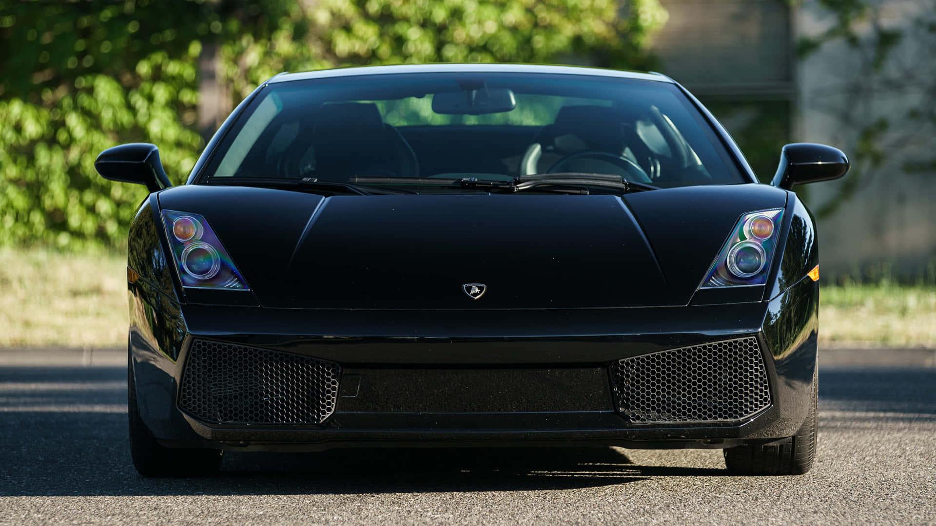 Lamborghini Gallardo 桌布 壁紙 — 一架流線型黑色林寶堅尼Gallardo在鋪砌道路上正面向前，背景有柔焦的綠色樹葉。