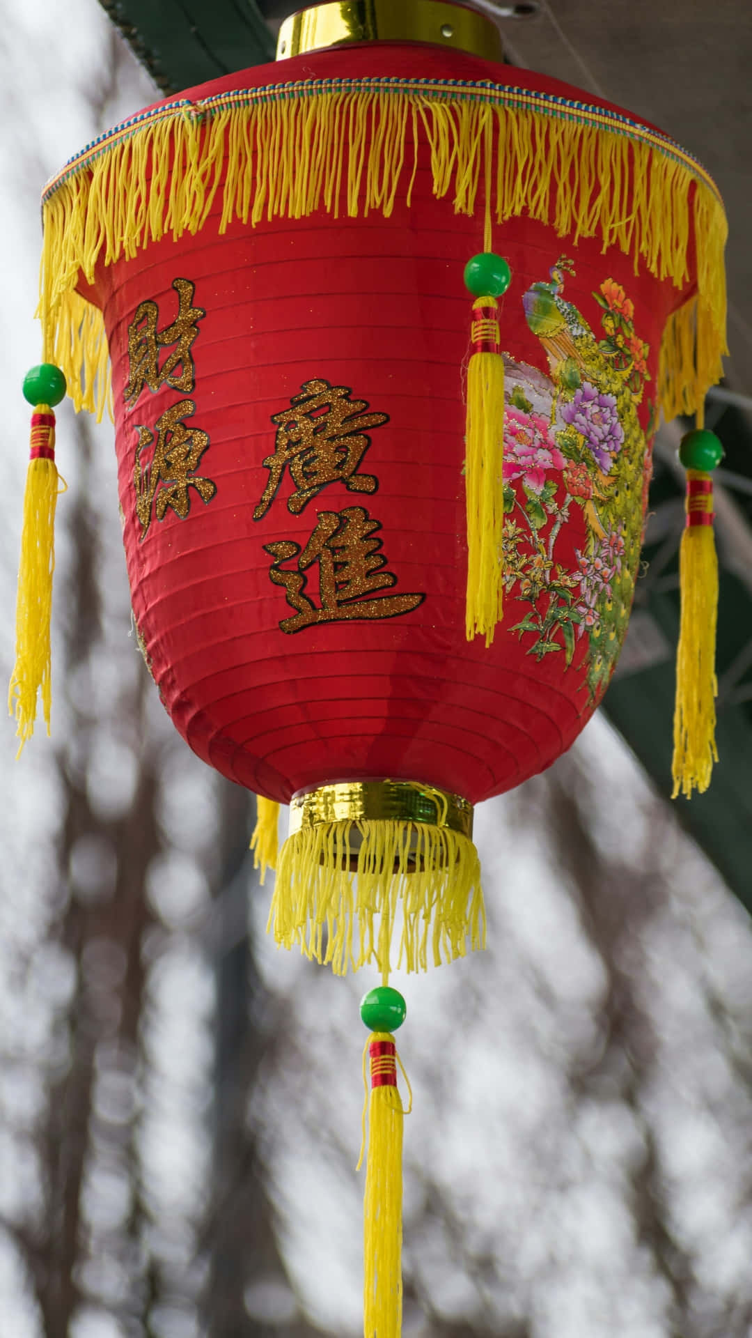  壁紙 — 一個鮮紅色的中國燈籠，飾有金色流蘇、花卉刺繡和吉祥字符，懸掛在模糊的冬季樹木背景前。