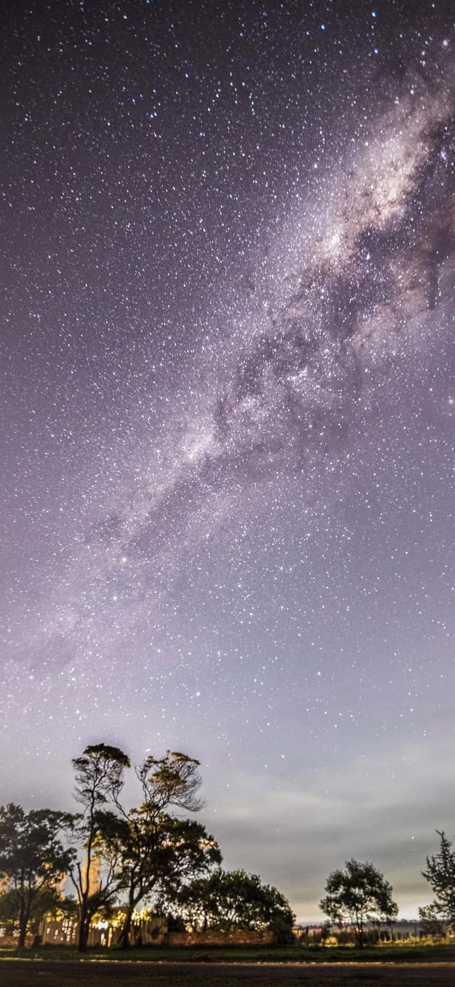  壁紙 — 銀河系橫跨星空，在剪影樹木和遠處燈光之上拱起的壯麗景色。