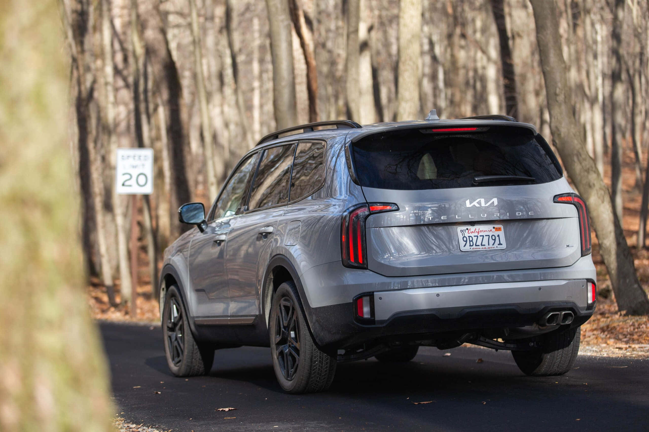 Kia Telluride 桌布 壁紙 — 一輛銀色Kia Telluride SUV在明亮的日光下行駛在兩旁光禿樹木的林間道路上。