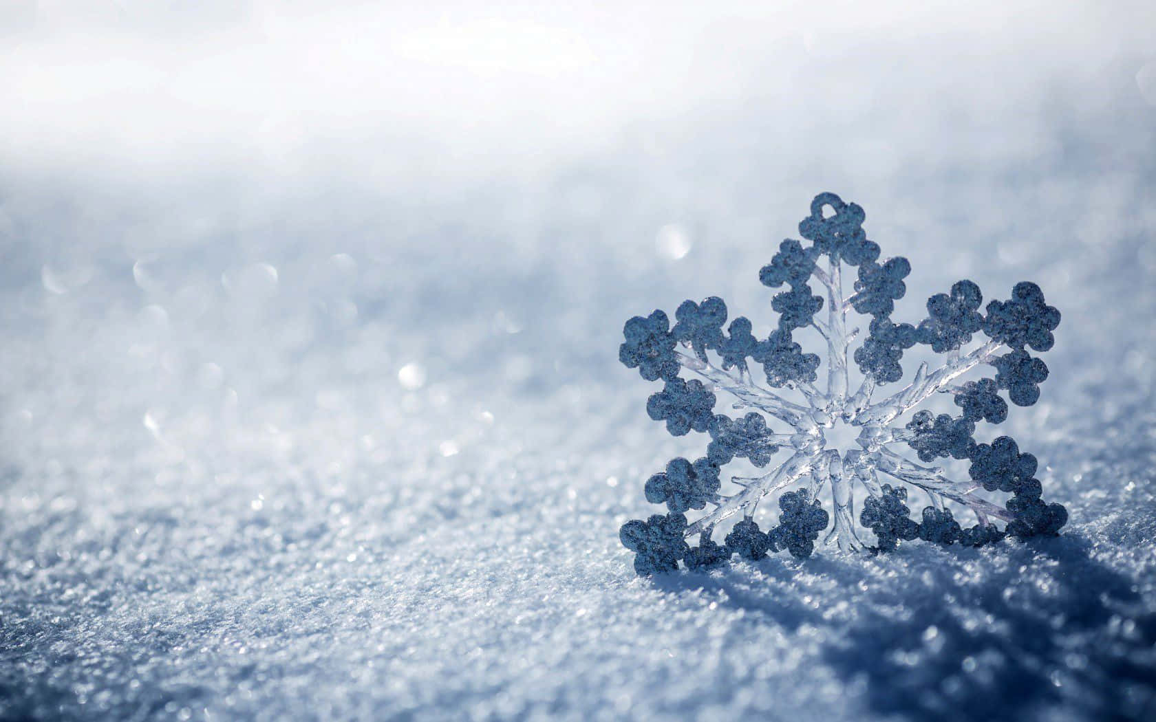 一片細節豐富的雪花躺在冬日陽光下的雪地上。