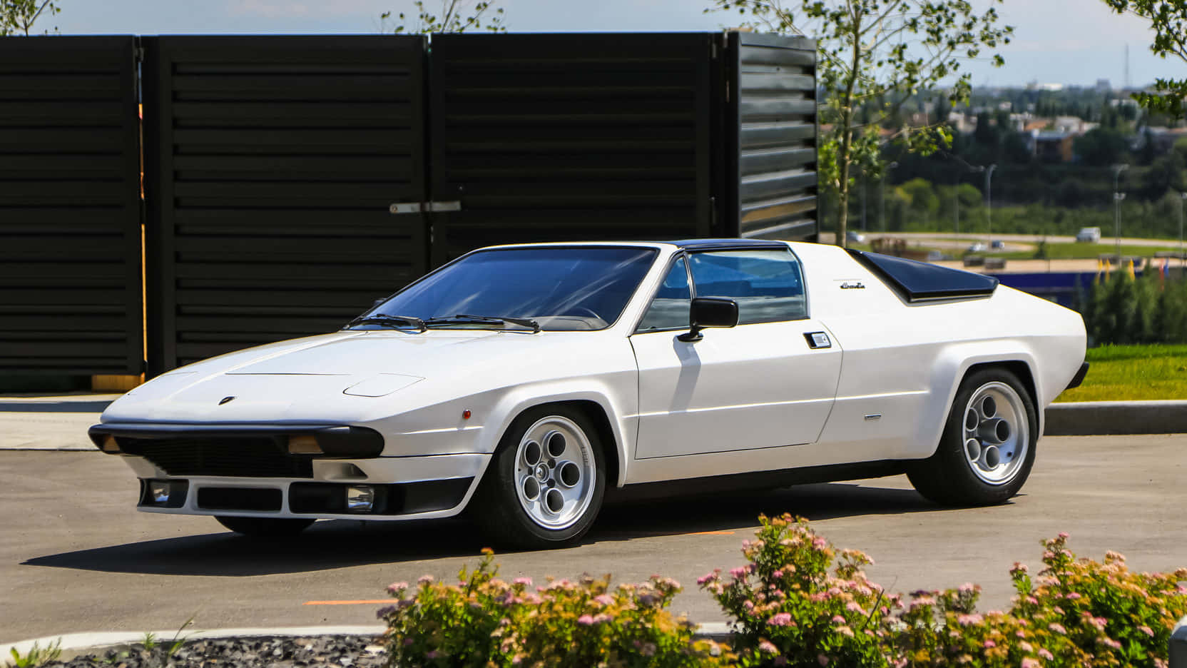Lamborghini Silhouette 桌布 壁紙 — 一架純白色林寶堅尼Countach跑車停泊在鋪砌的停車場，背景有綠化植物和黑色圍欄。