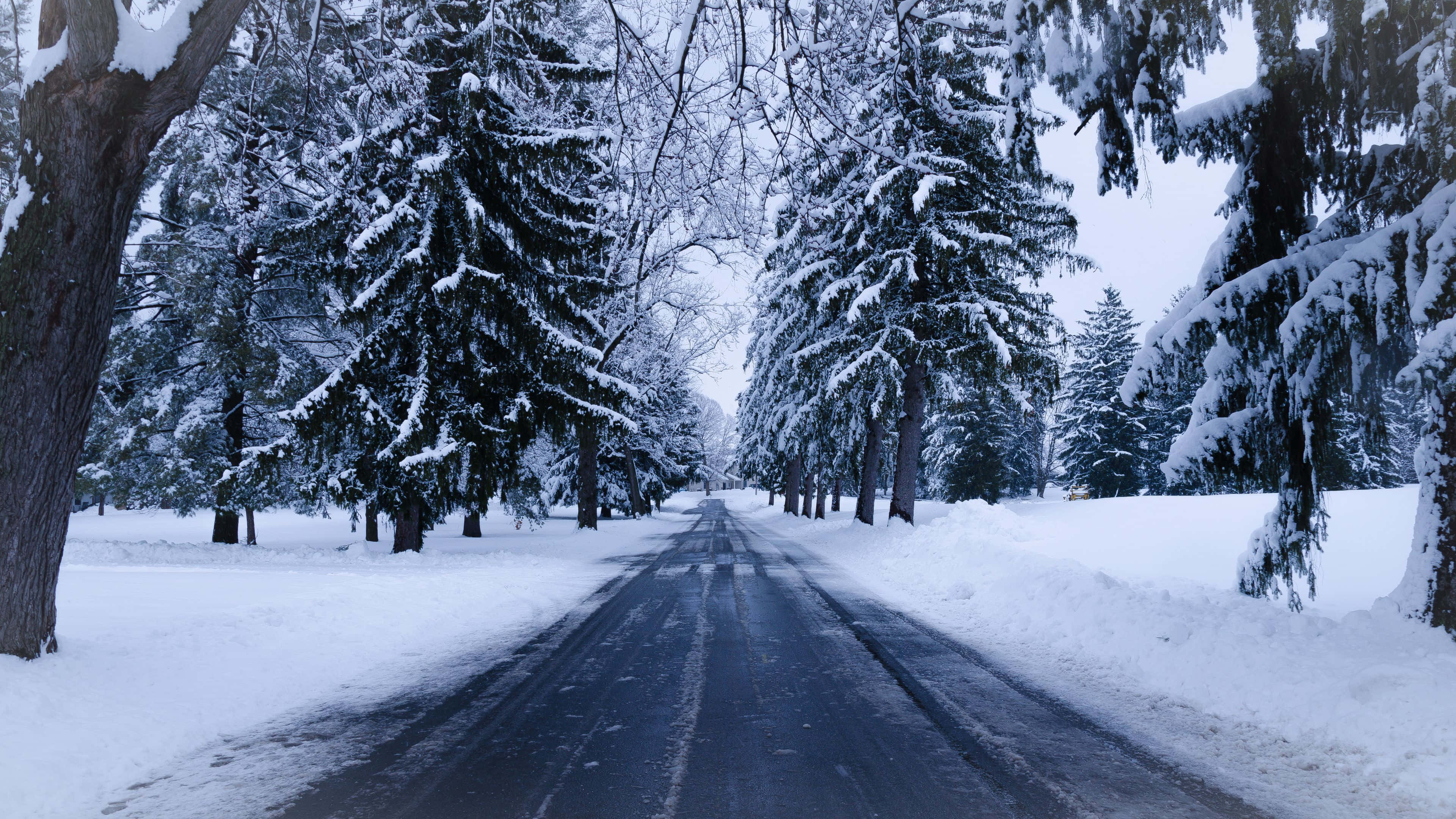 Snowy Road 桌布 壁紙 — 一條被雪覆蓋的道路蜿蜒穿過寧靜的冬季森林，高大的常綠樹上掛滿了新鮮的粉雪。